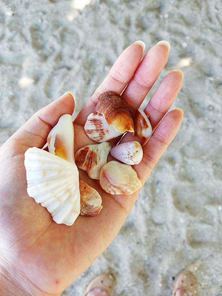 年内 週末の混雑状況