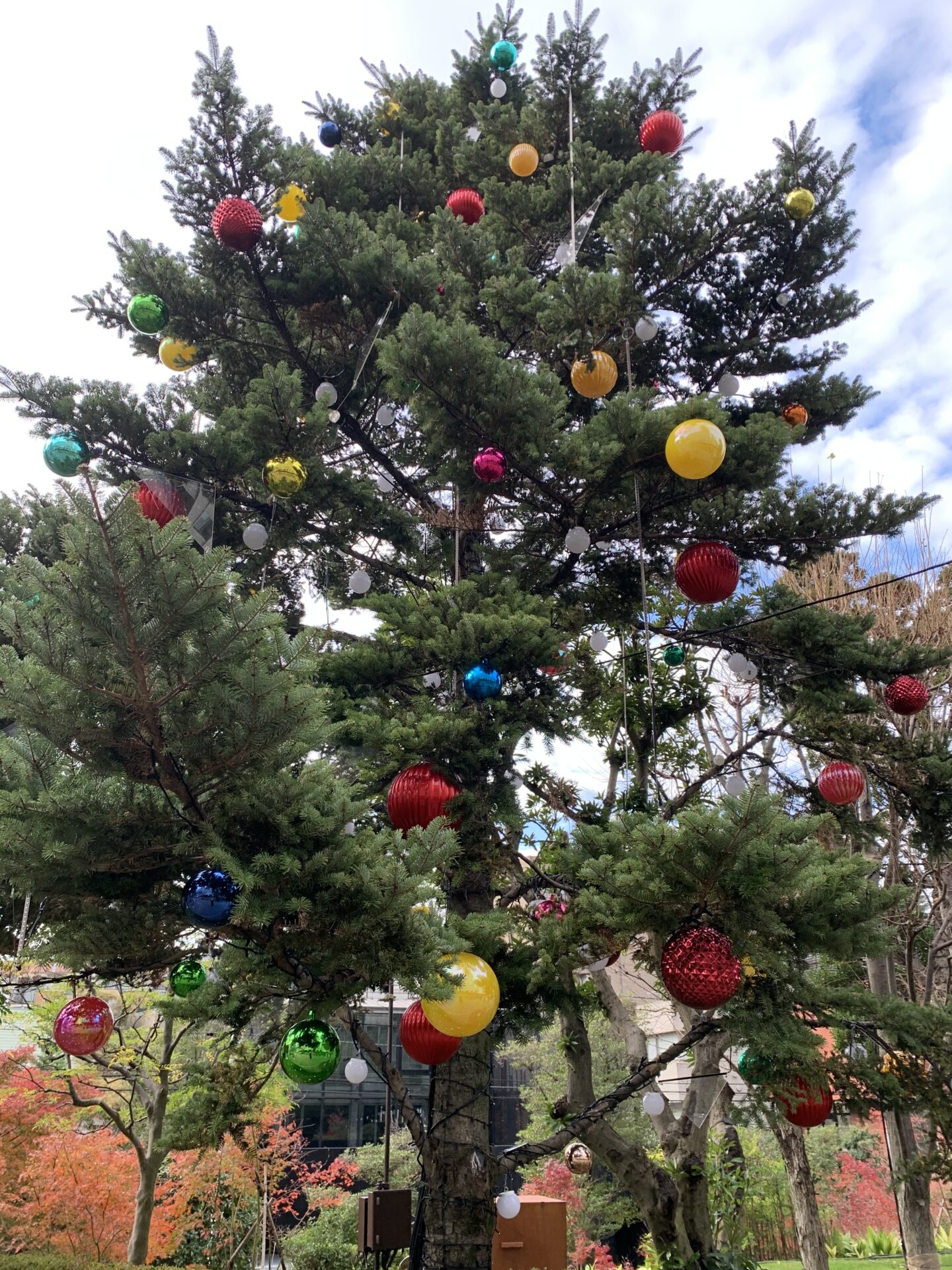 年末年始スケジュール