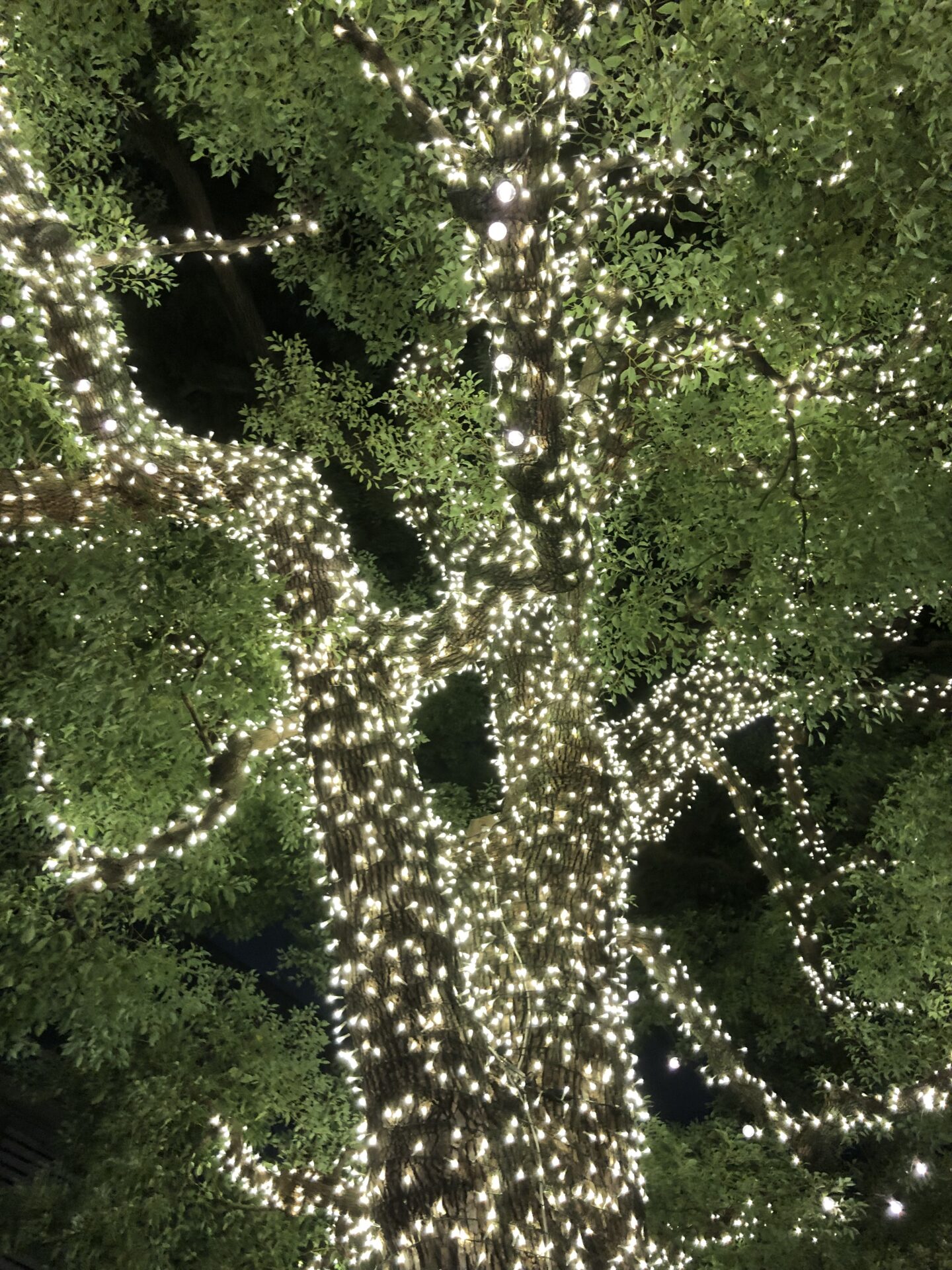 2022年もあと今週で終わり