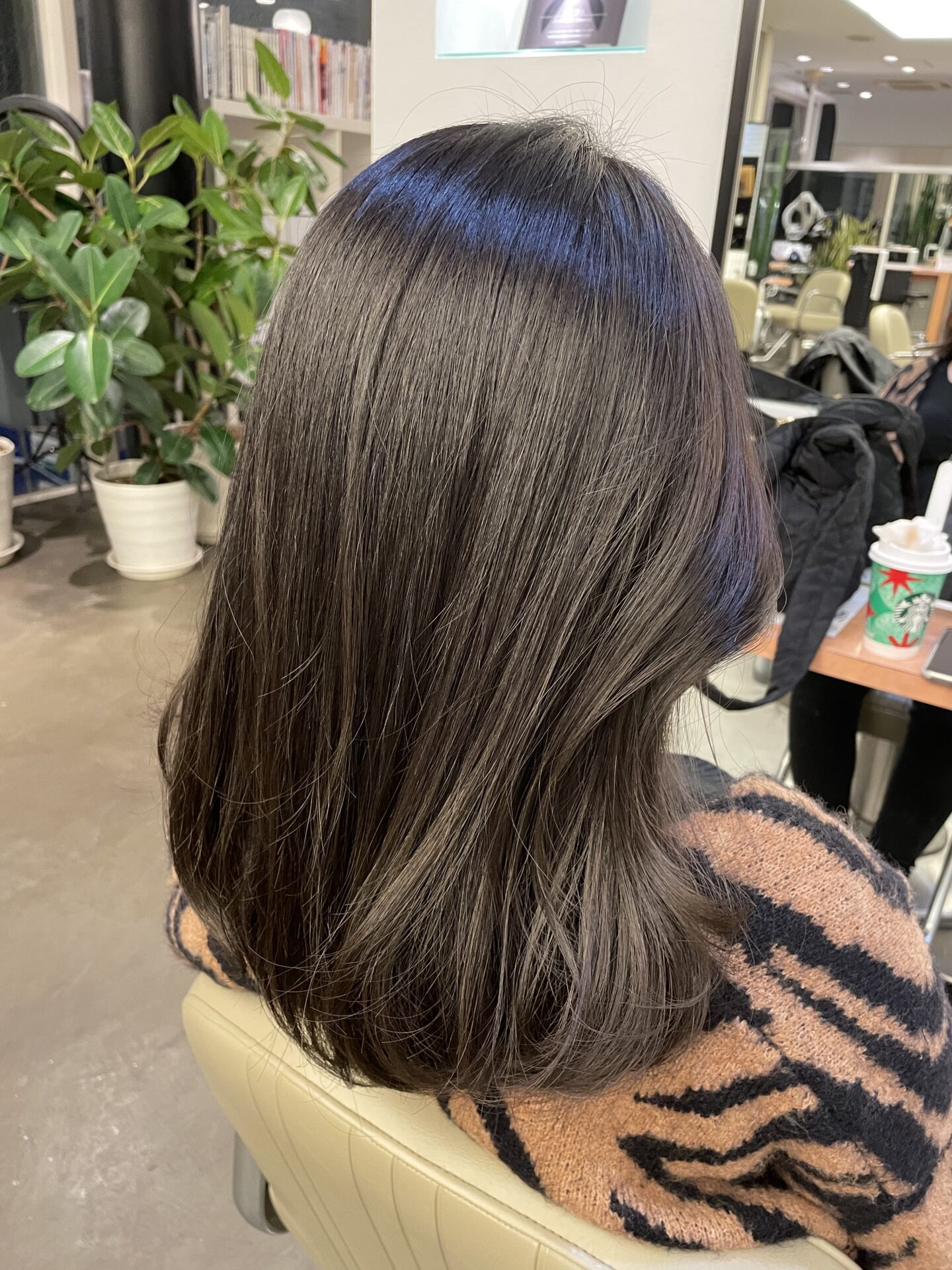 透け感グレージュ︎︎♩¨̮