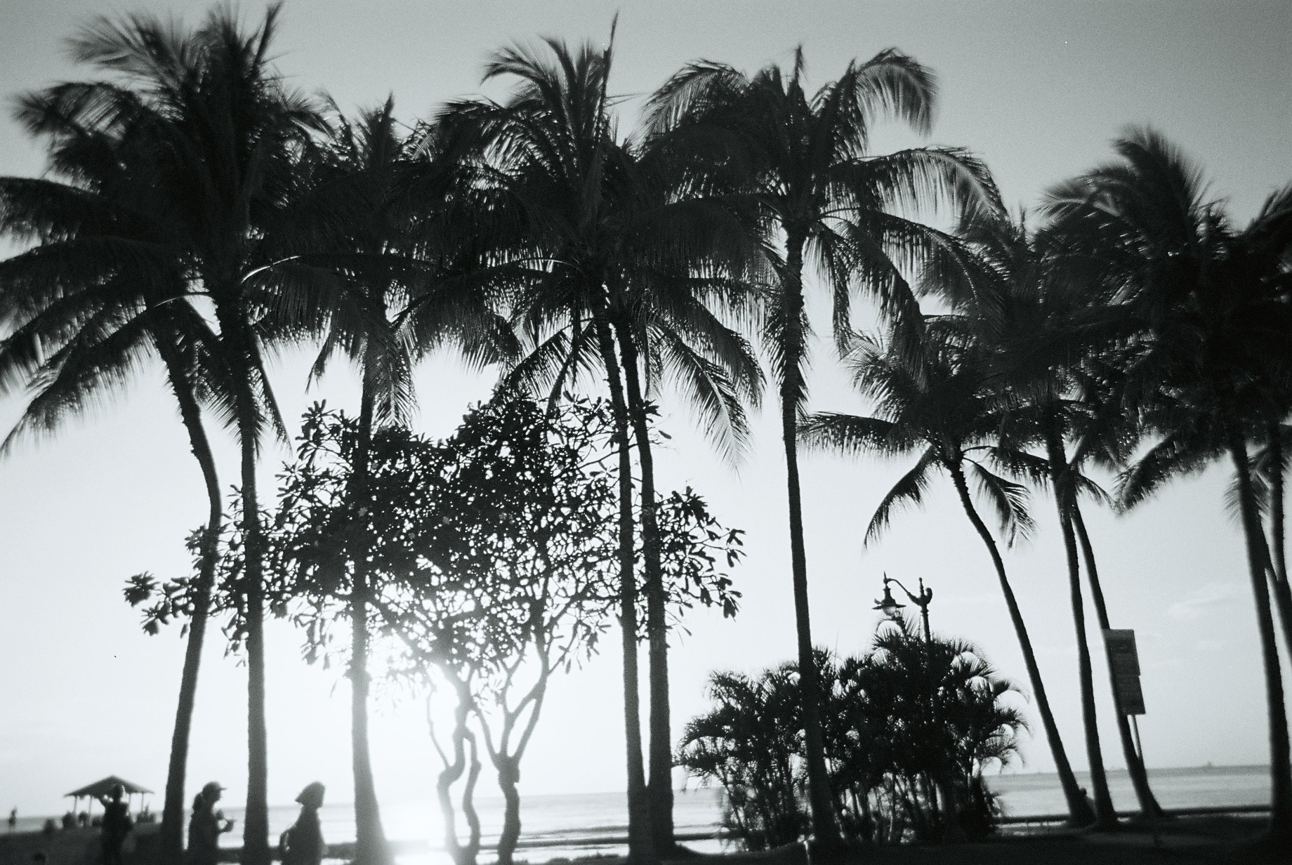 今年最後の営業日♪