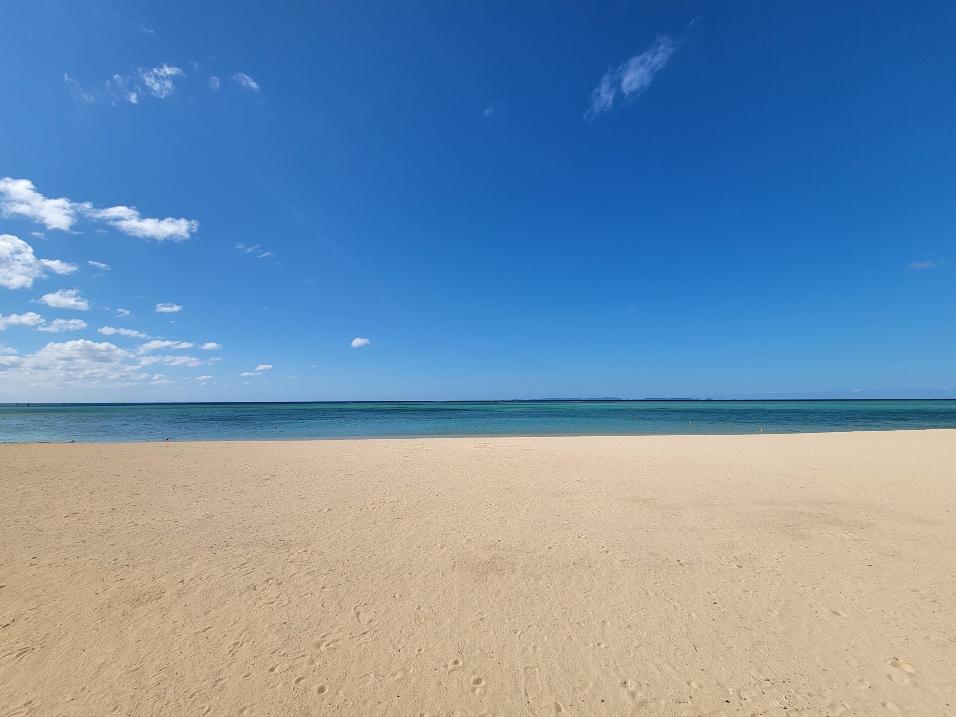 青山店　1月スタイリスト不在スケジュール