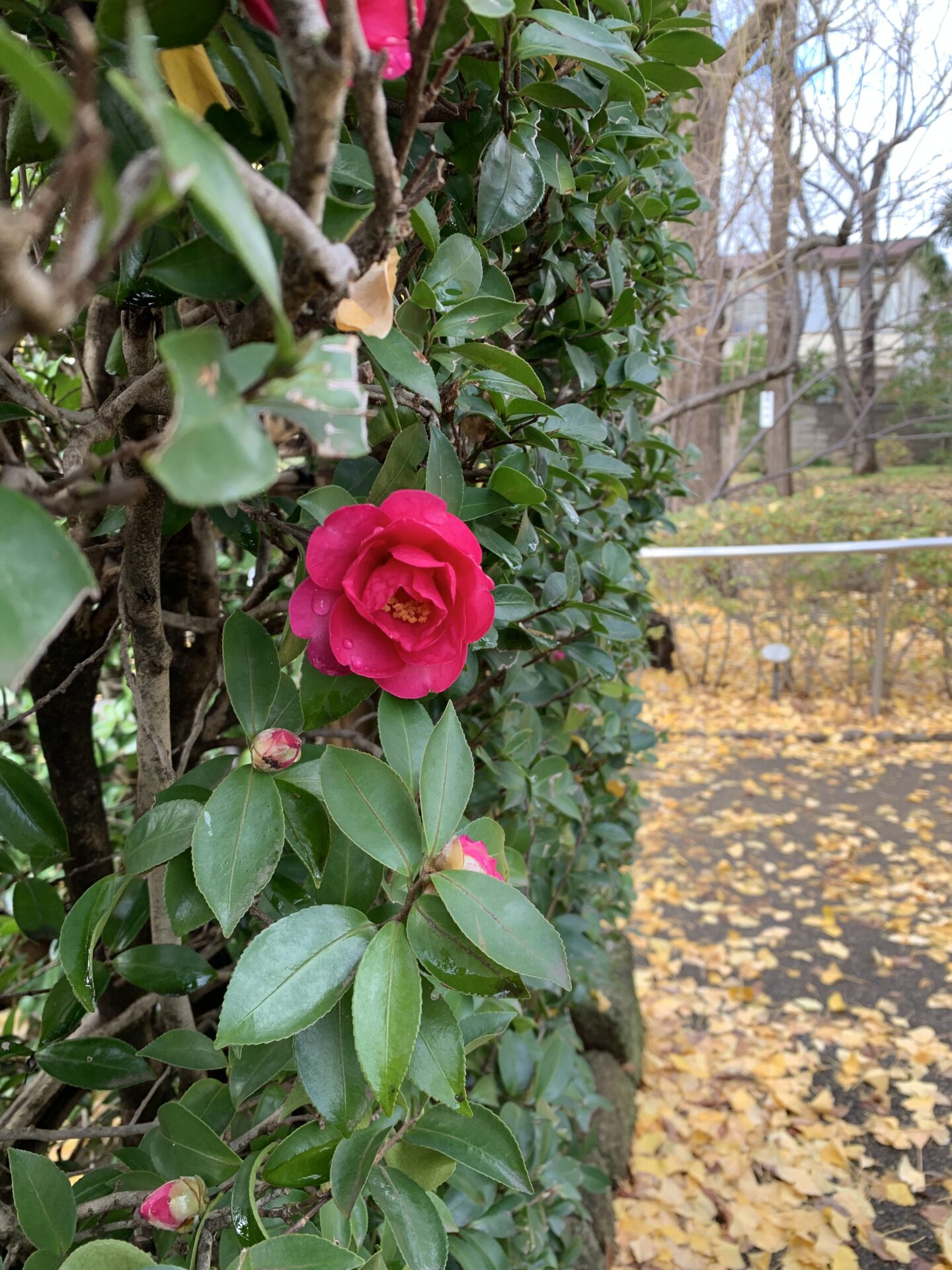 山岡2月スケジュール