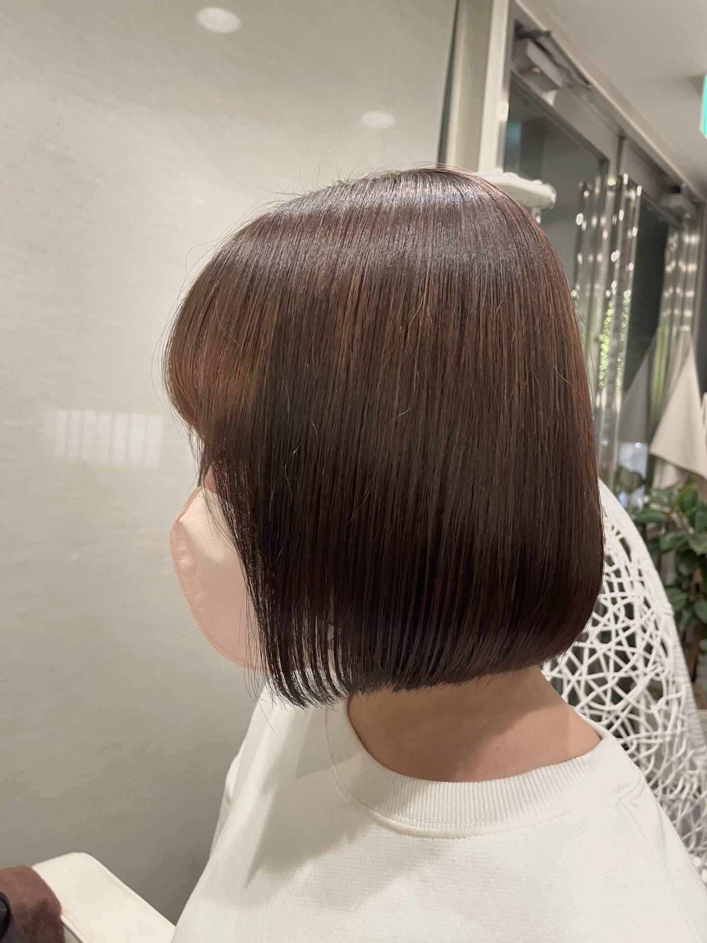 ボブ( ఠ͜ఠ )♡