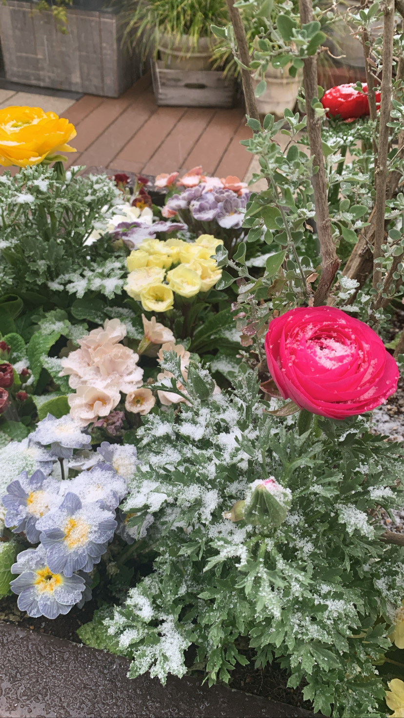 グラッセリア青山にNEW OPEN