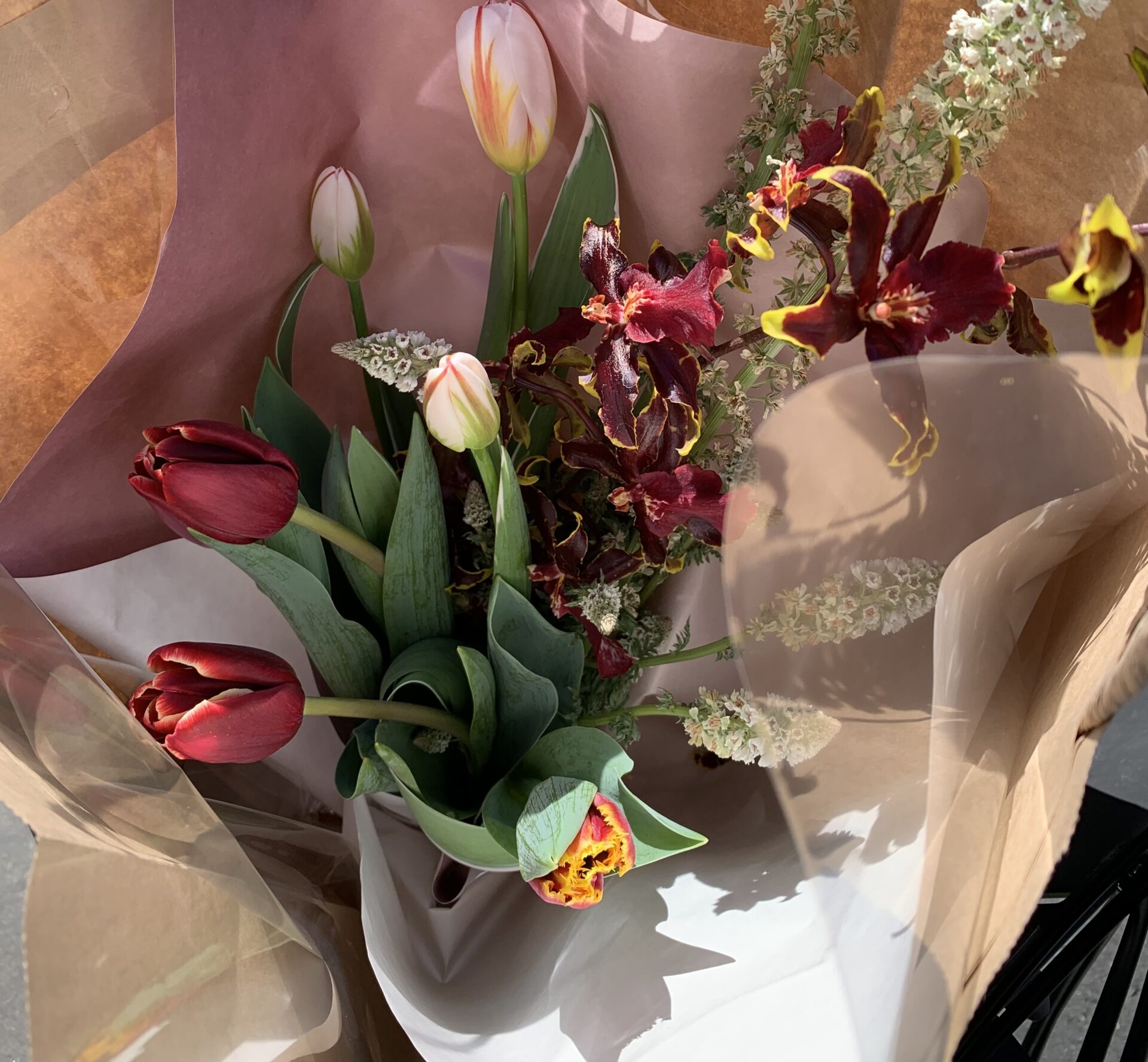 ふくい南青山291