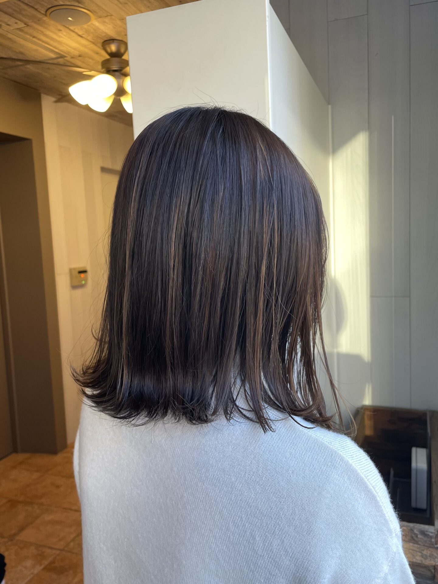 ハイライトレッスン