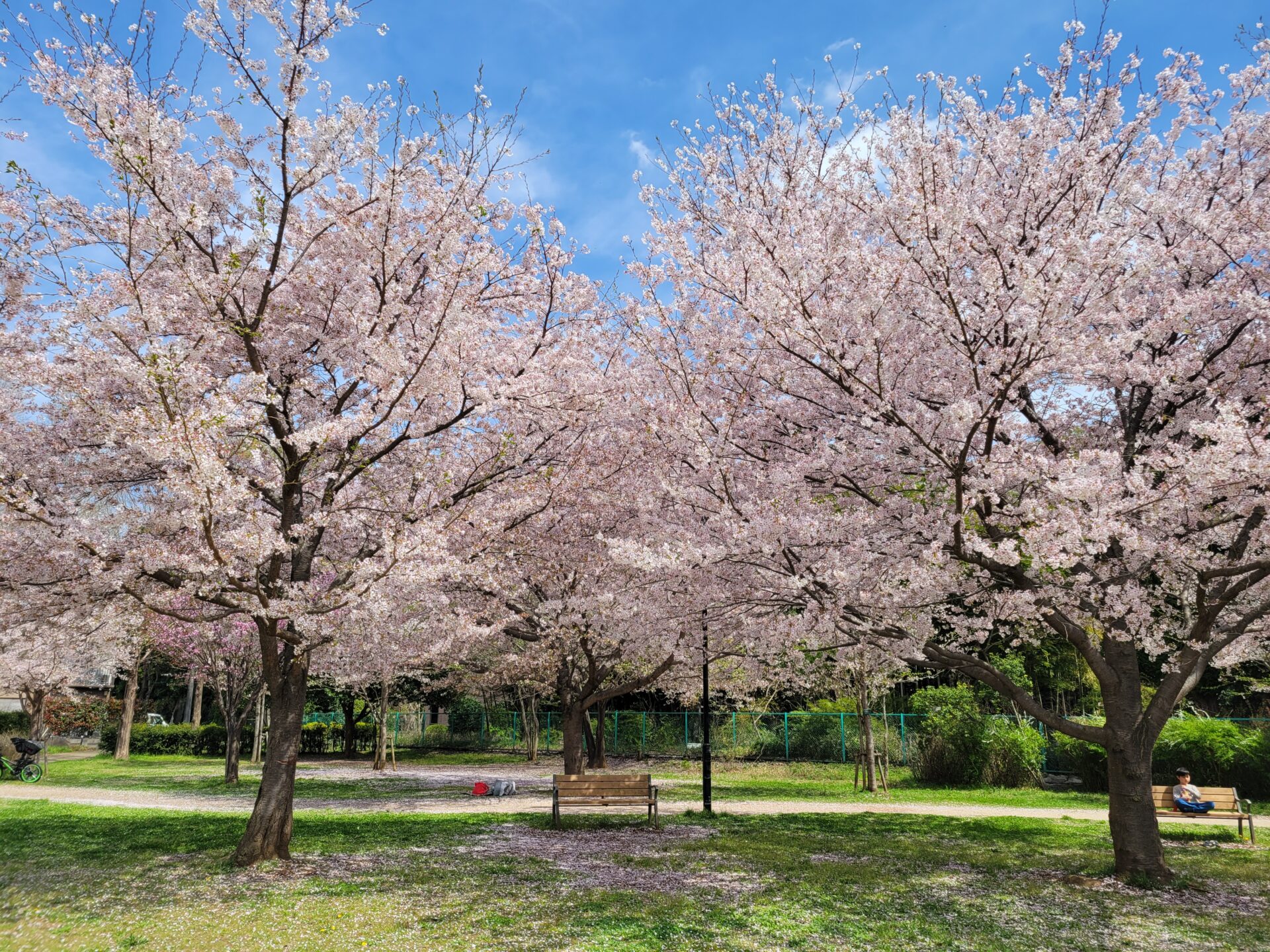 青山店　4月スタイリスト不在スケジュール