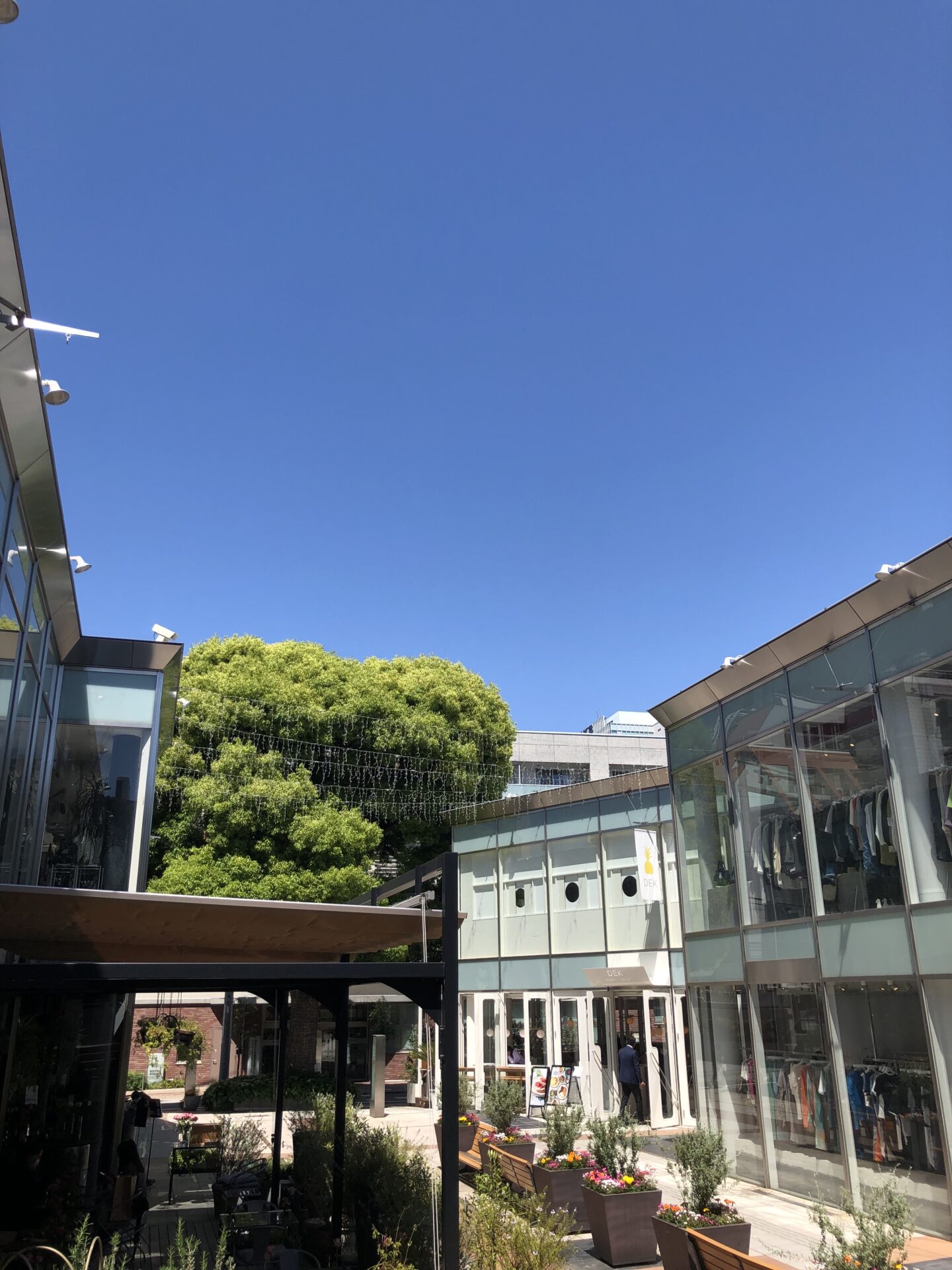 佐野行俊5月スケジュール