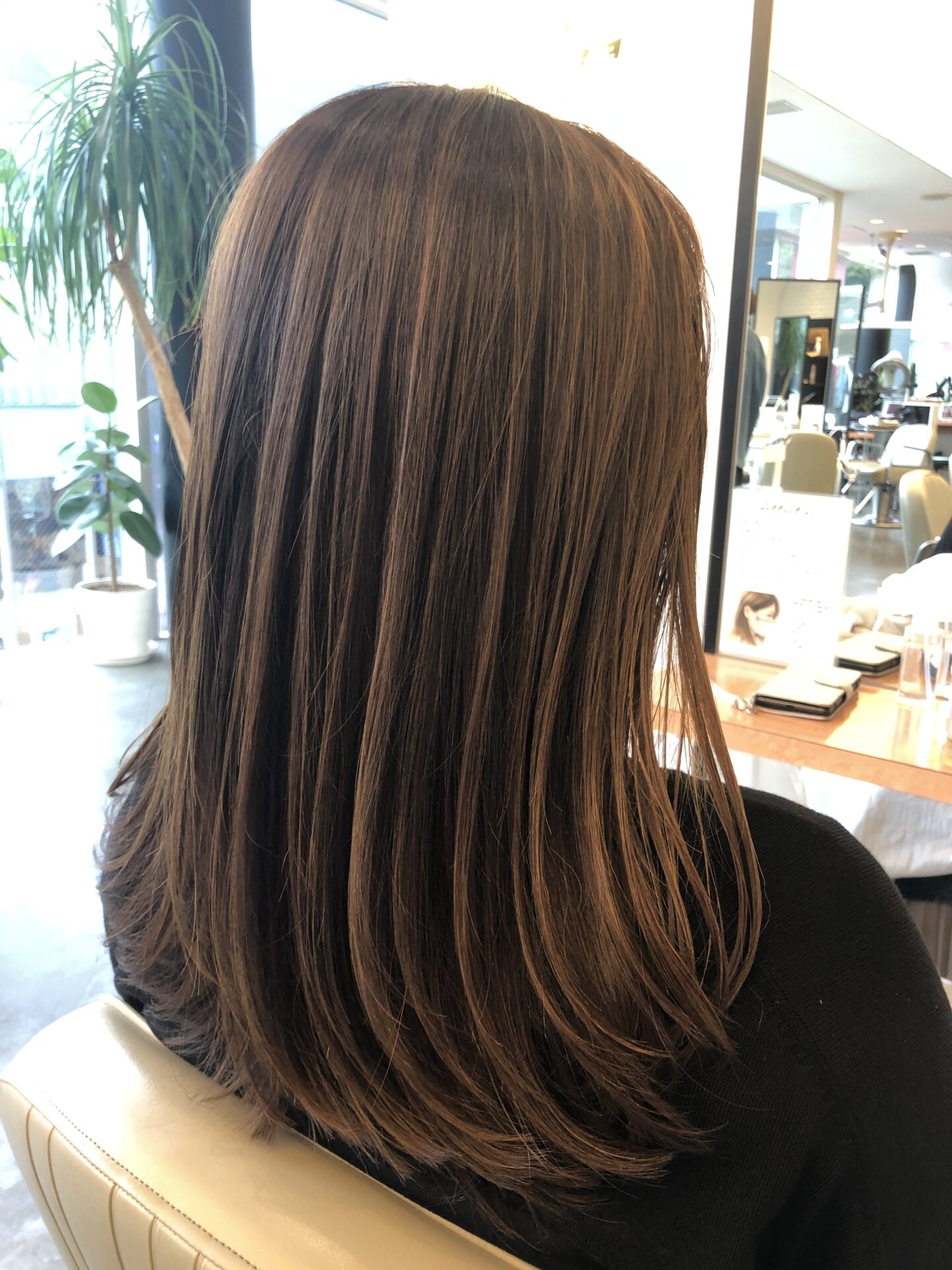 雨にも負けず風にも負けず