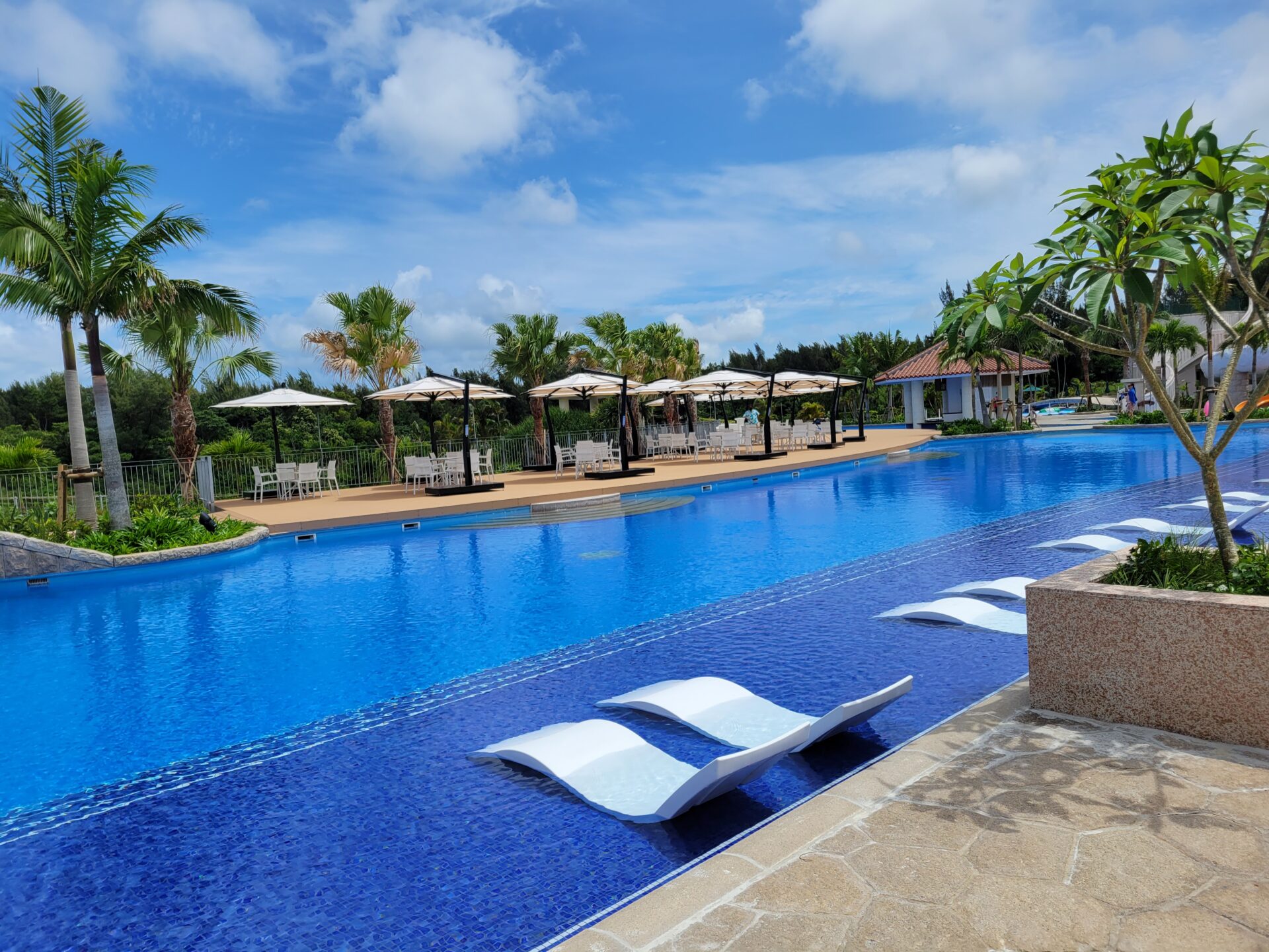 青山店　8月スタイリスト不在スケジュール