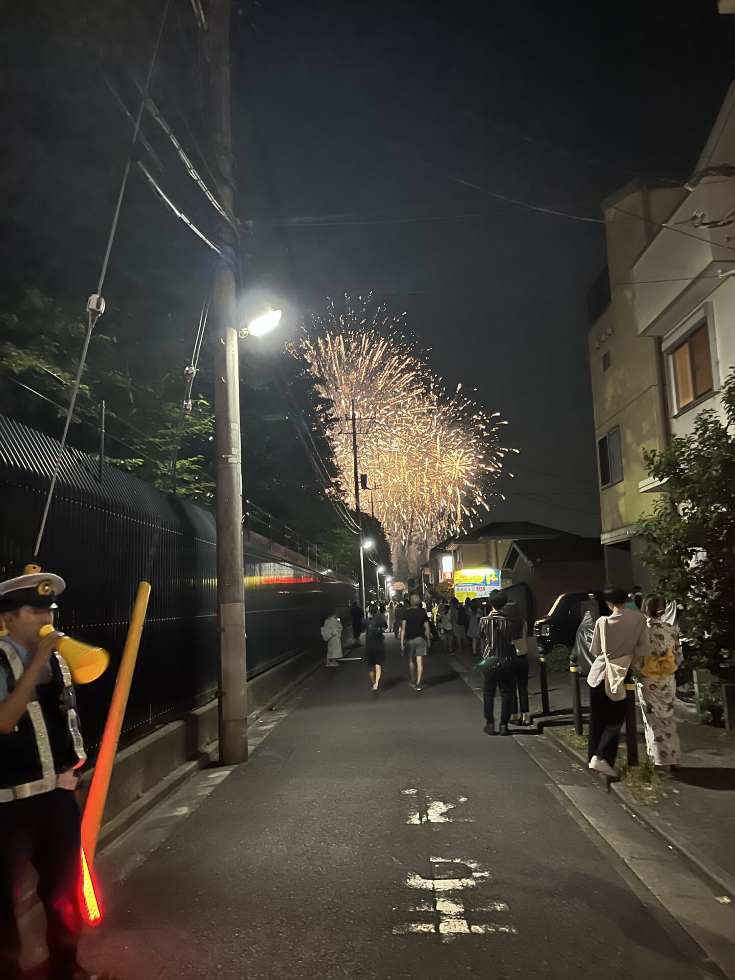 何年ぶりかの花火大会