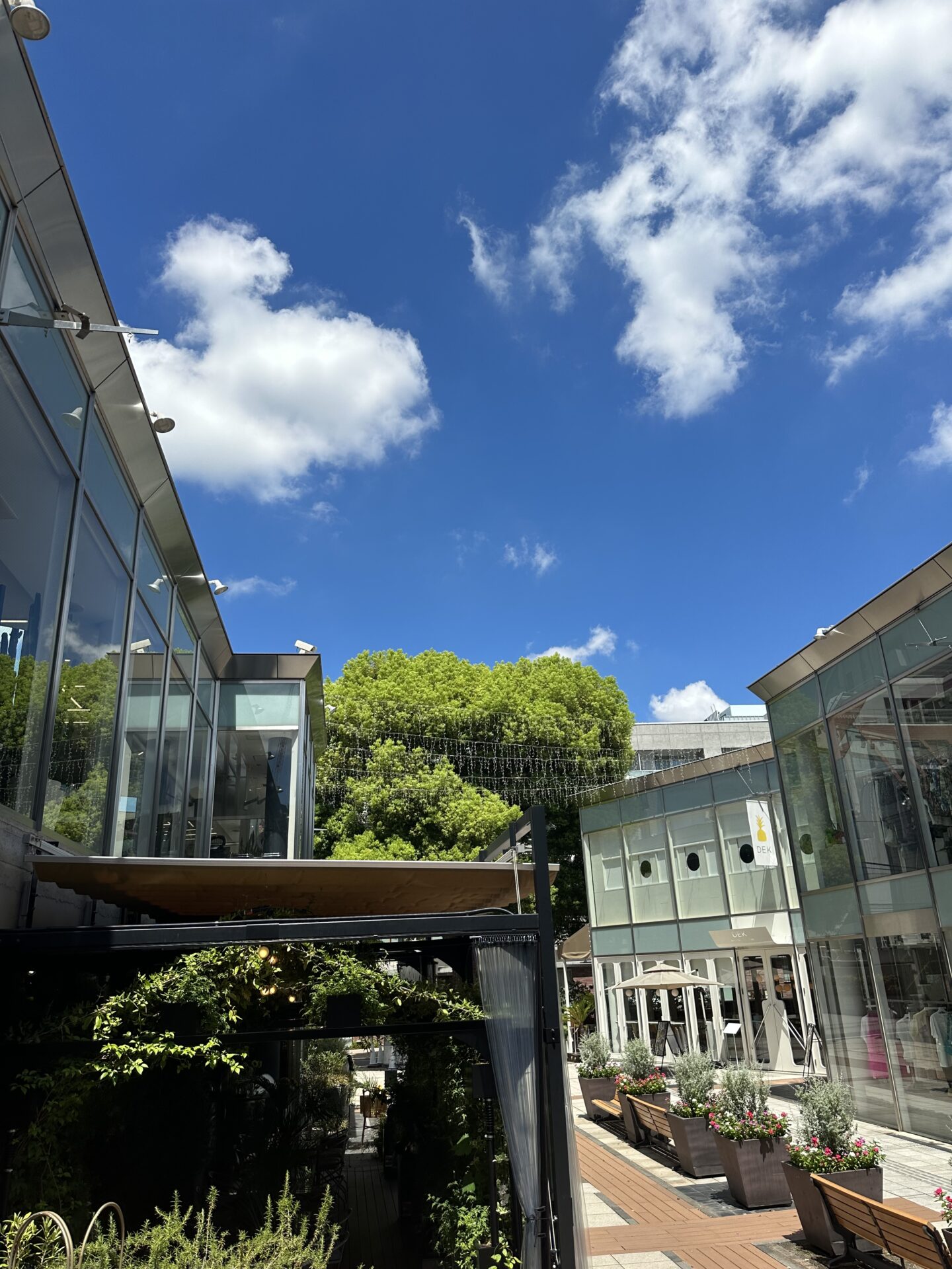 現在夏休み中でして8月2日から通常営業です。