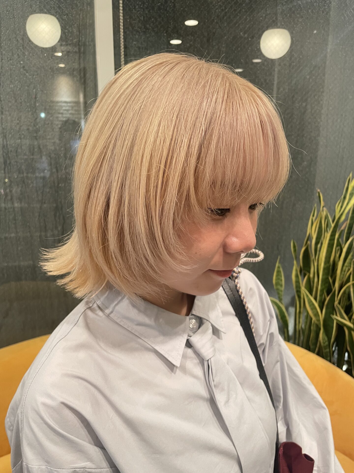 ハイトーンカラー💇