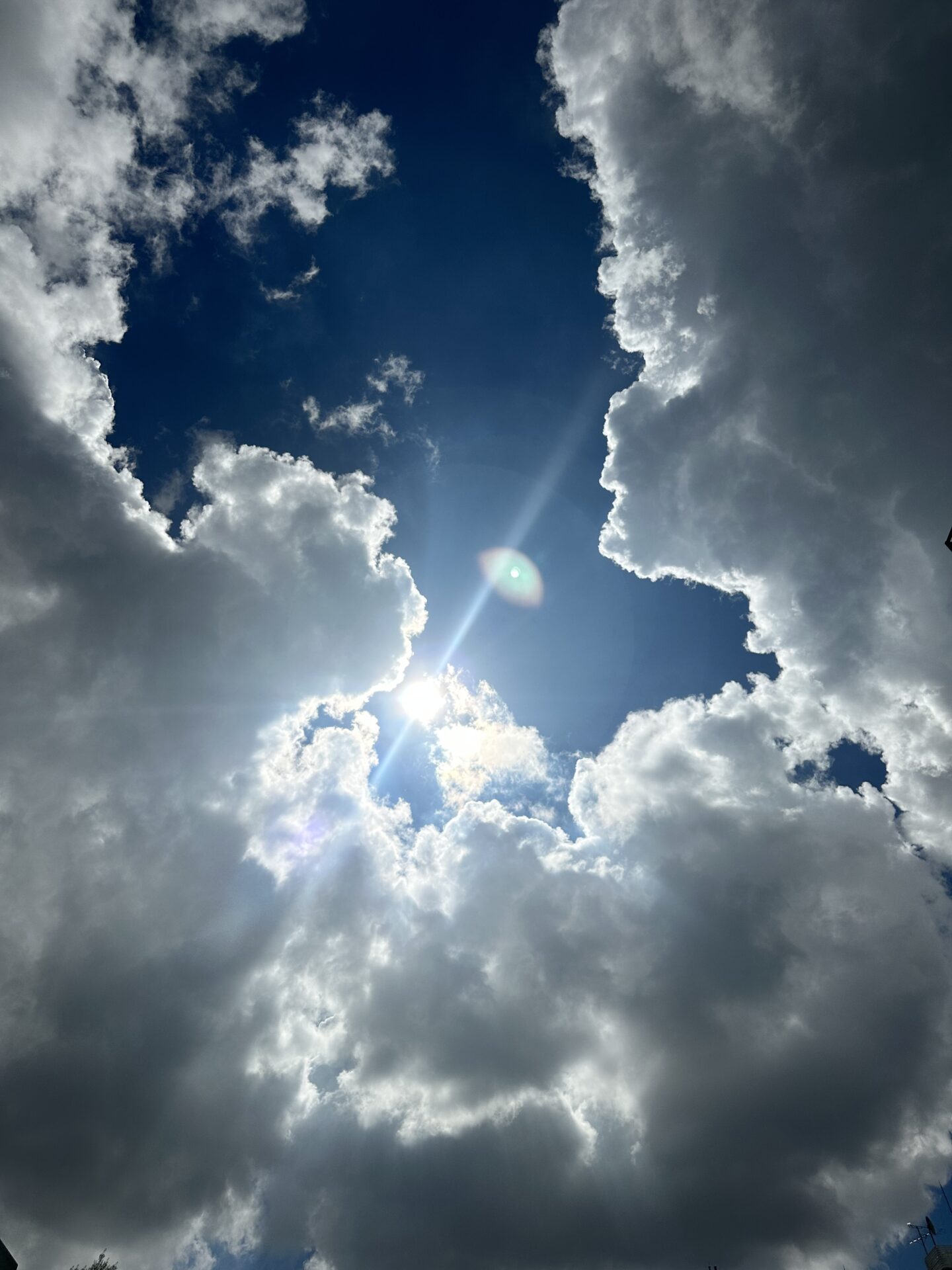 夏の終わりが見えて来たかな？