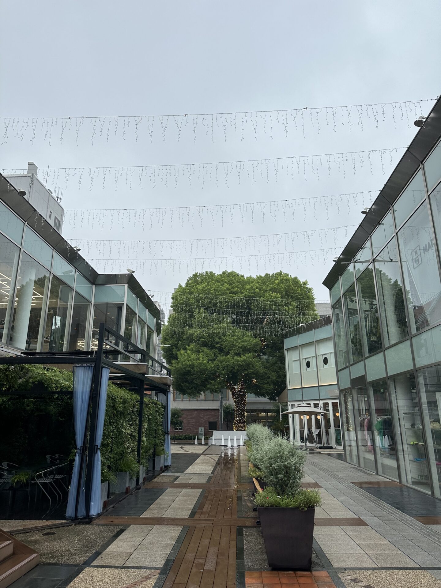 10月から赤坂店にも出勤します。