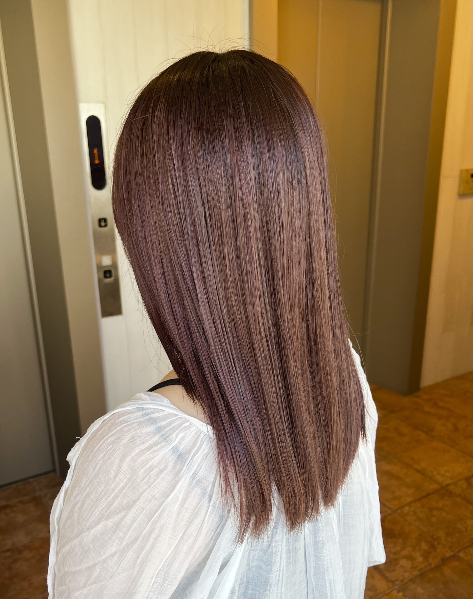 レベンダーカラー