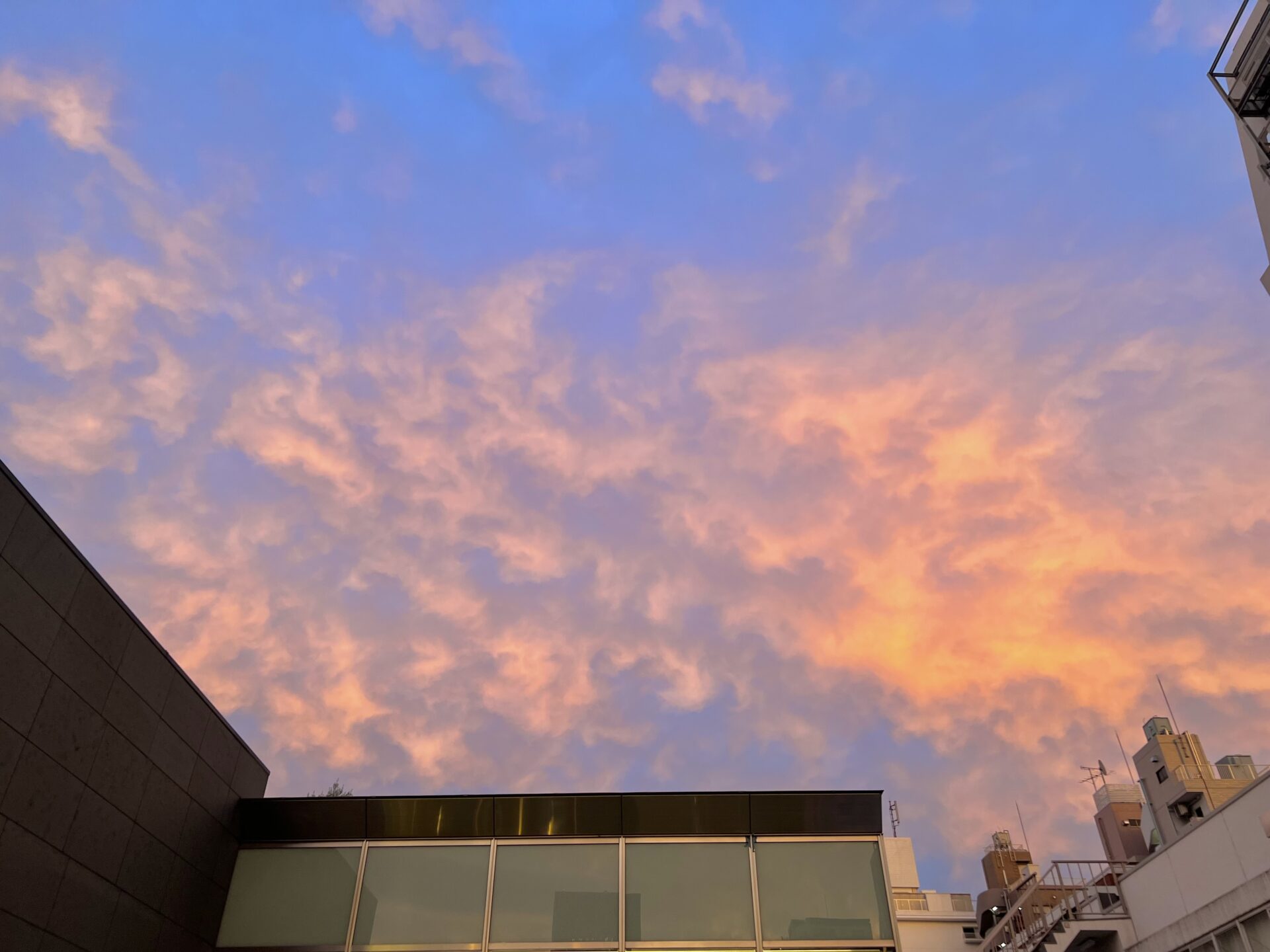 10月から赤坂店にも出勤します！