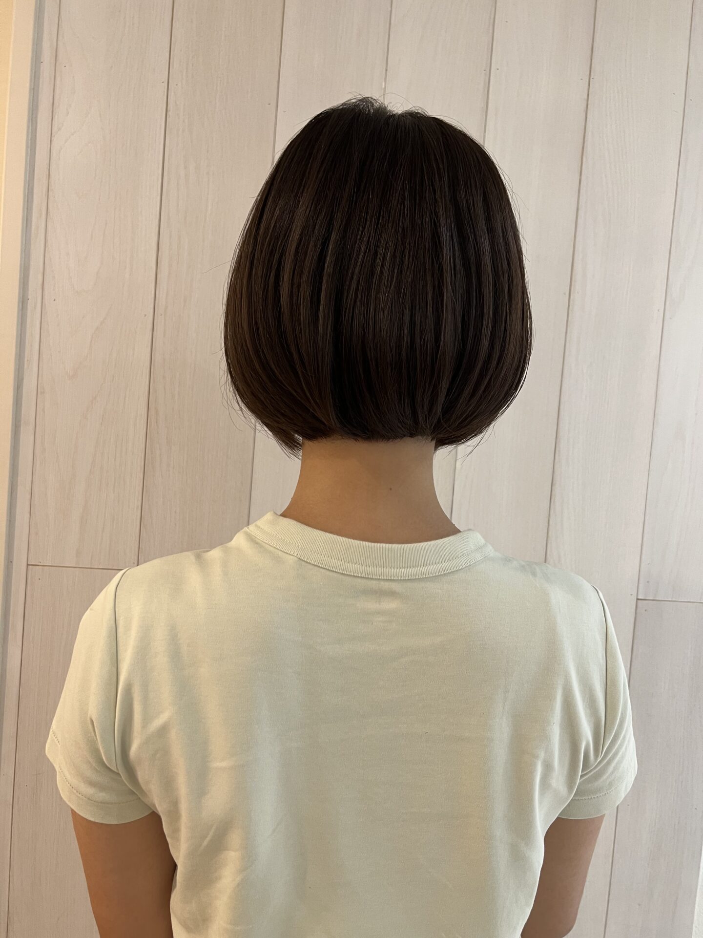 【DIFINO稲田】モデル仕込み