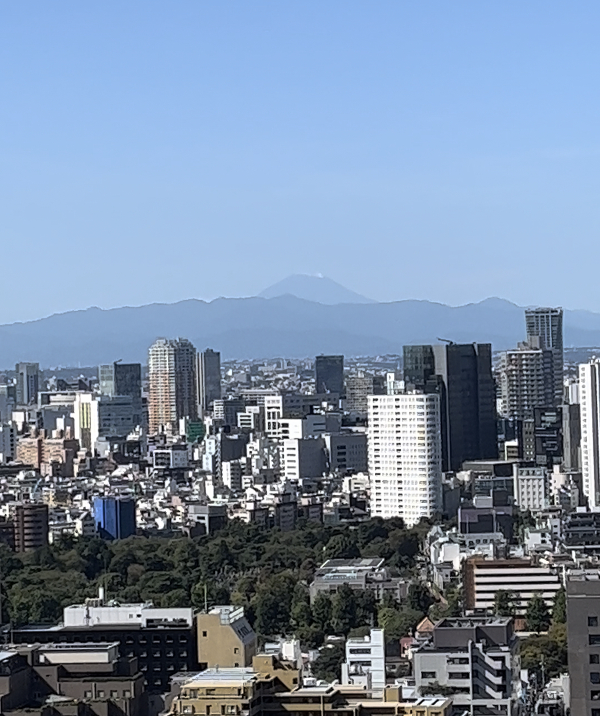 新生DIFINO akasakaスタート