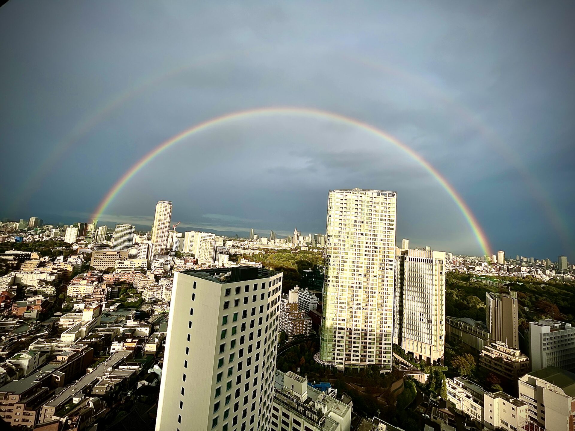 DIFINO akasaka 着々と