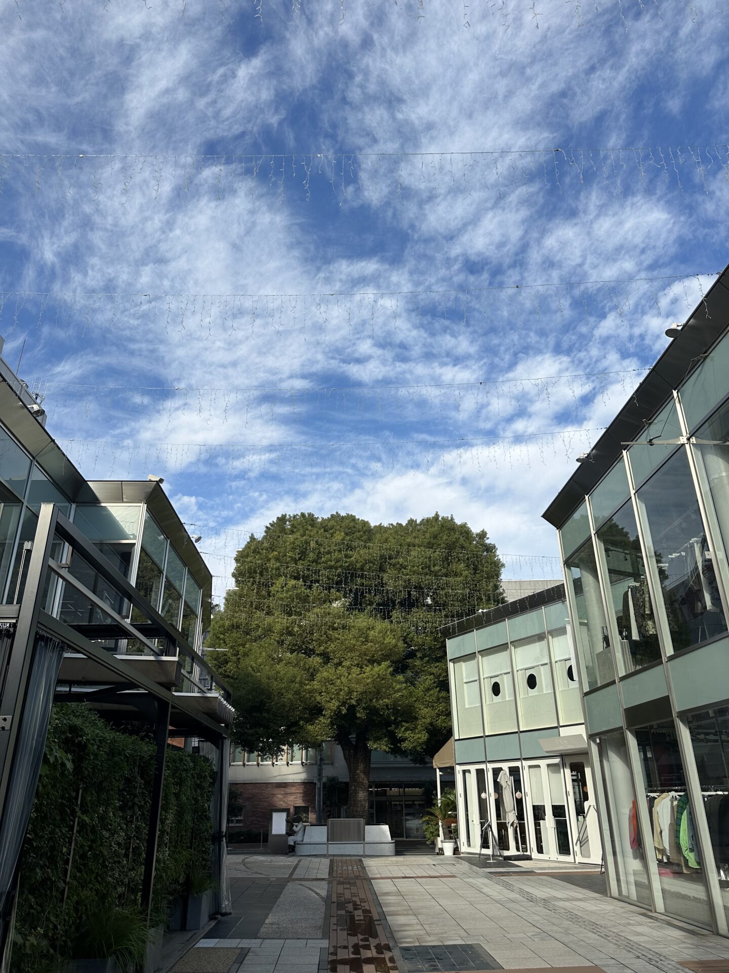 佐野行俊12月スケジュール