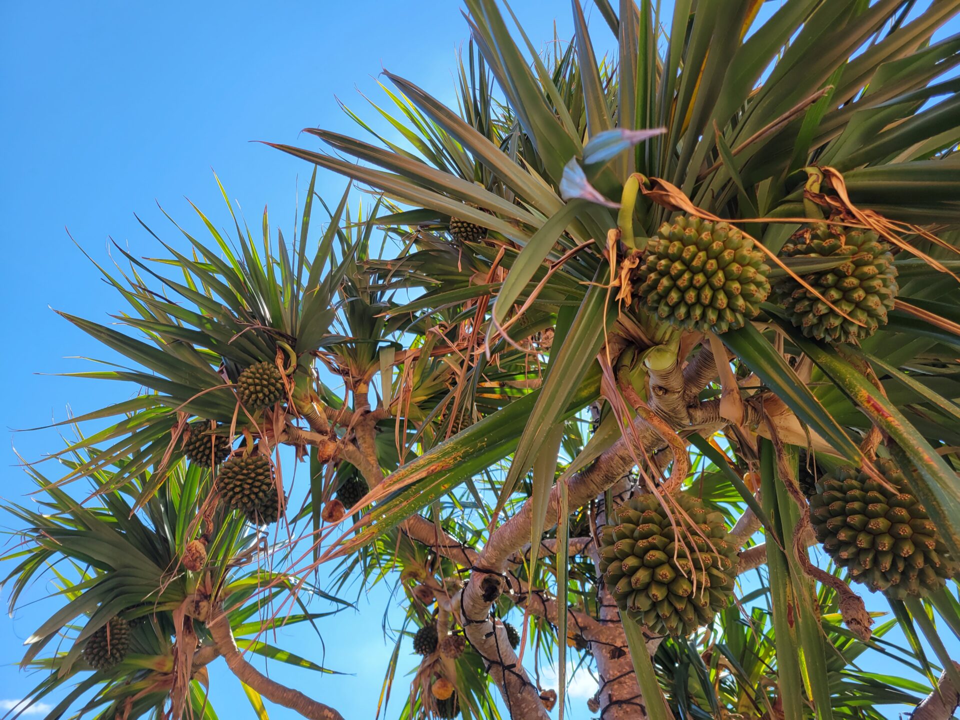 青山店スタイリスト 不在スケジュール