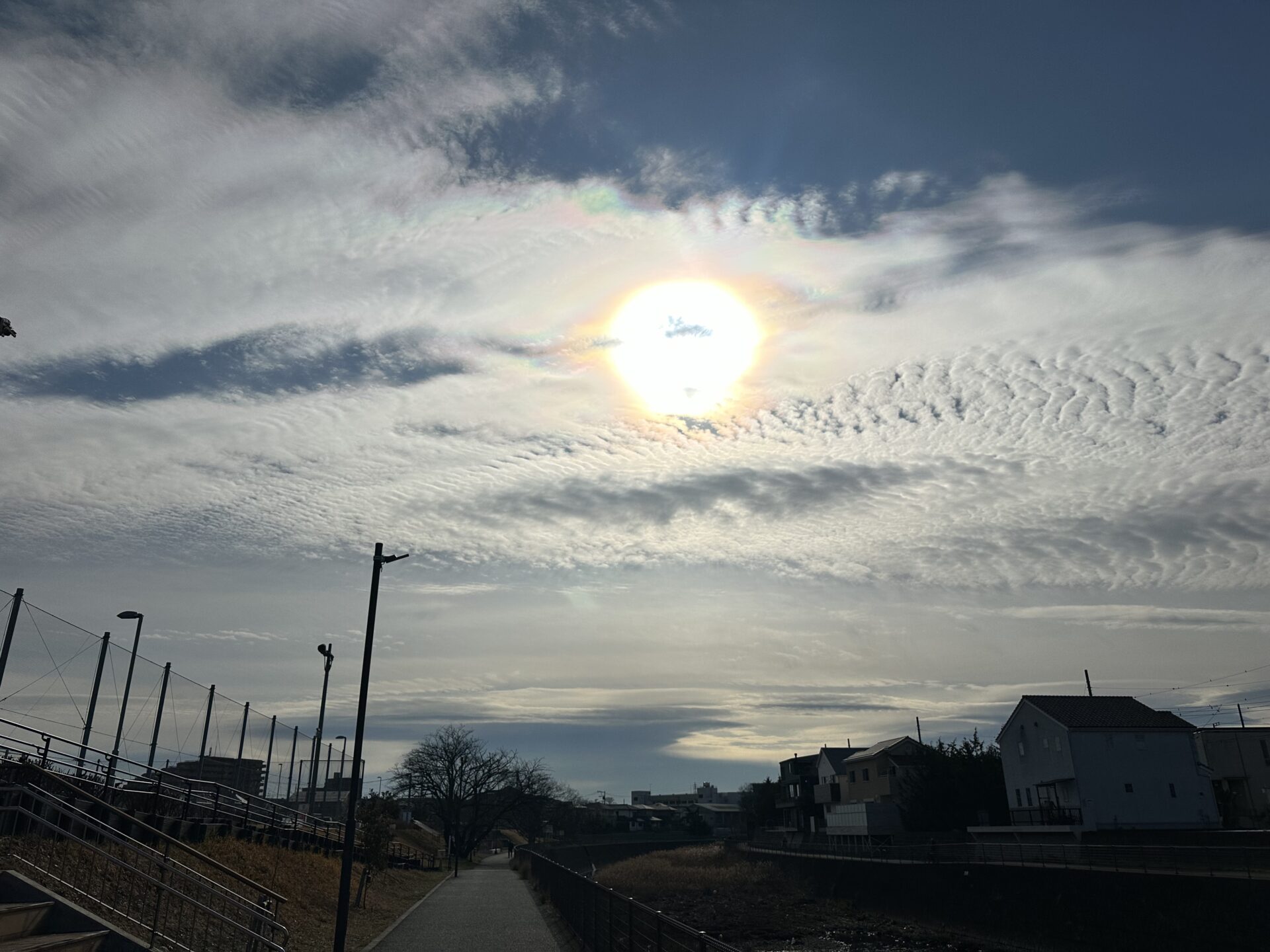 2024年2月佐野行俊スケジュール