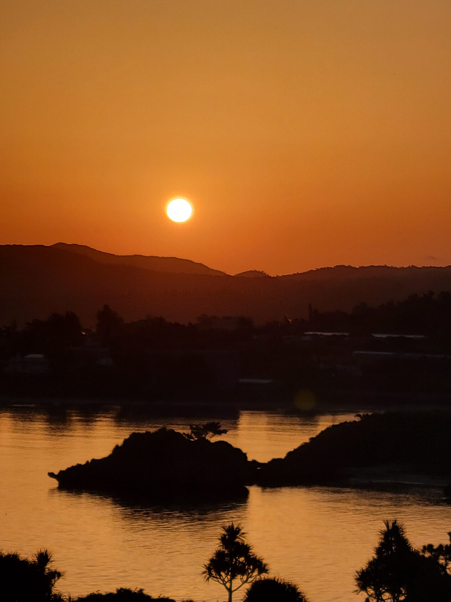 青山店 スタイリスト不在スケジュール