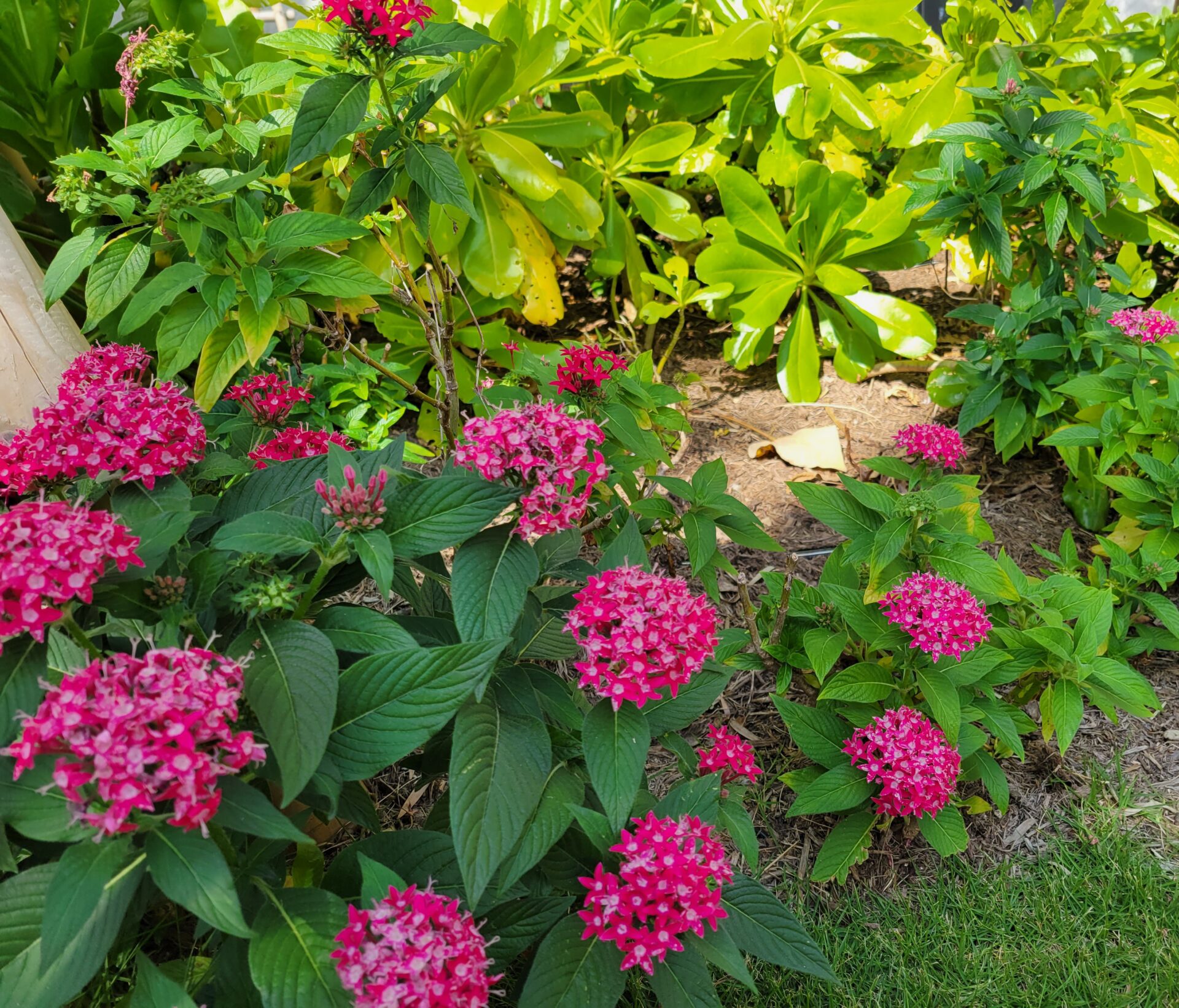 青山店 スタイリスト不在スケジュール