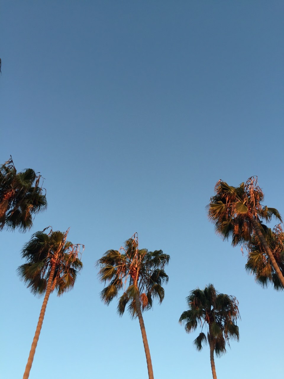 青山店  5月スタイリスト不在スケジュール