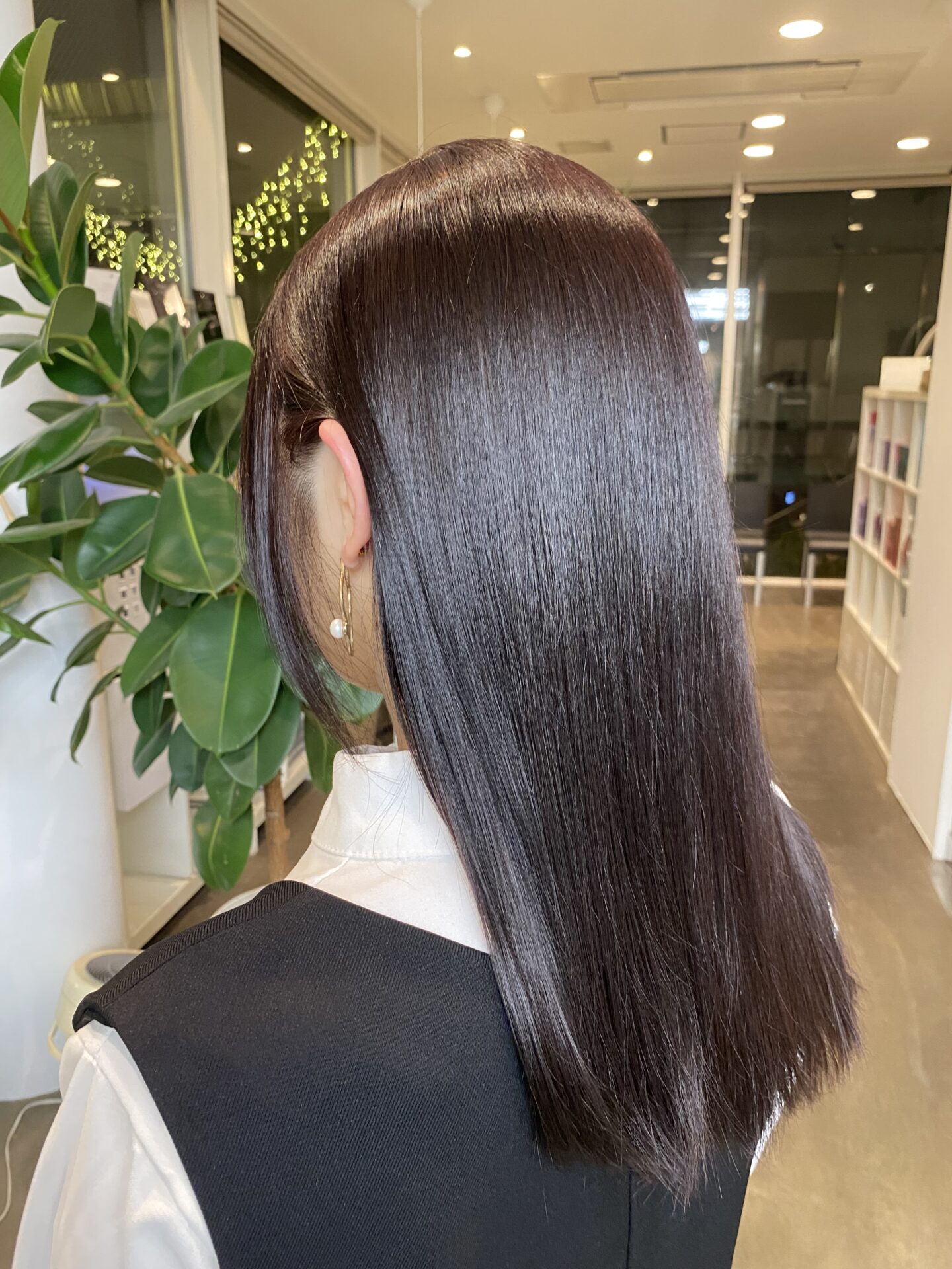 ピンクラベンダー