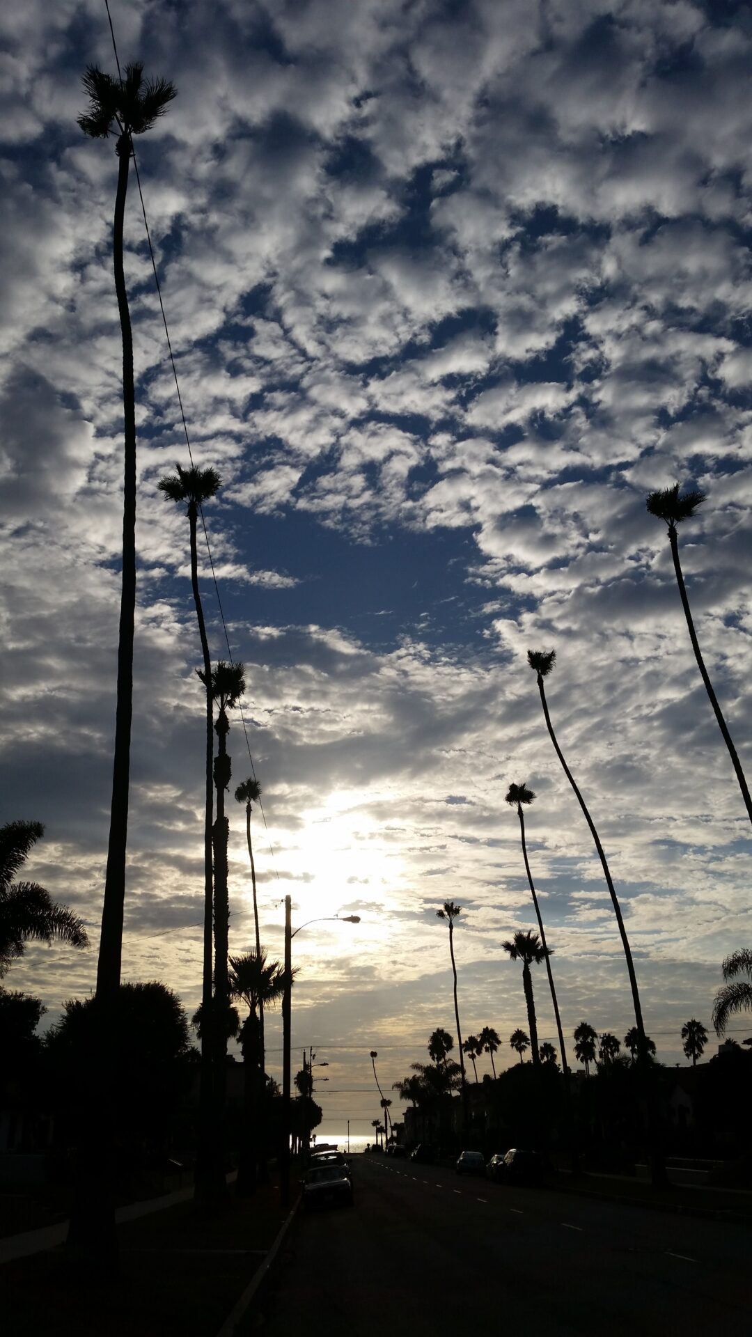 青山店 5月スタイリスト不在スケジュール