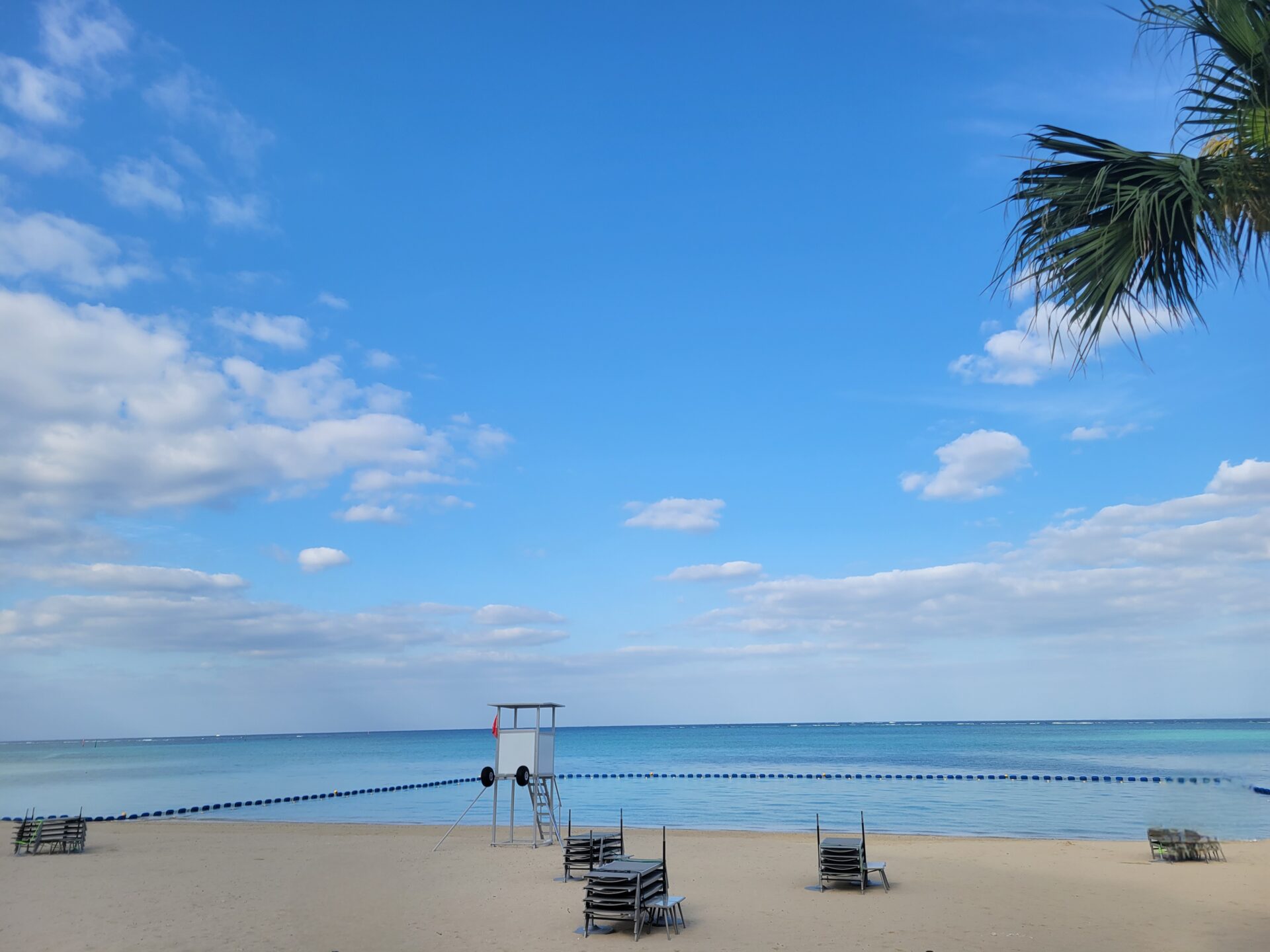 土橋出勤店舗に関して