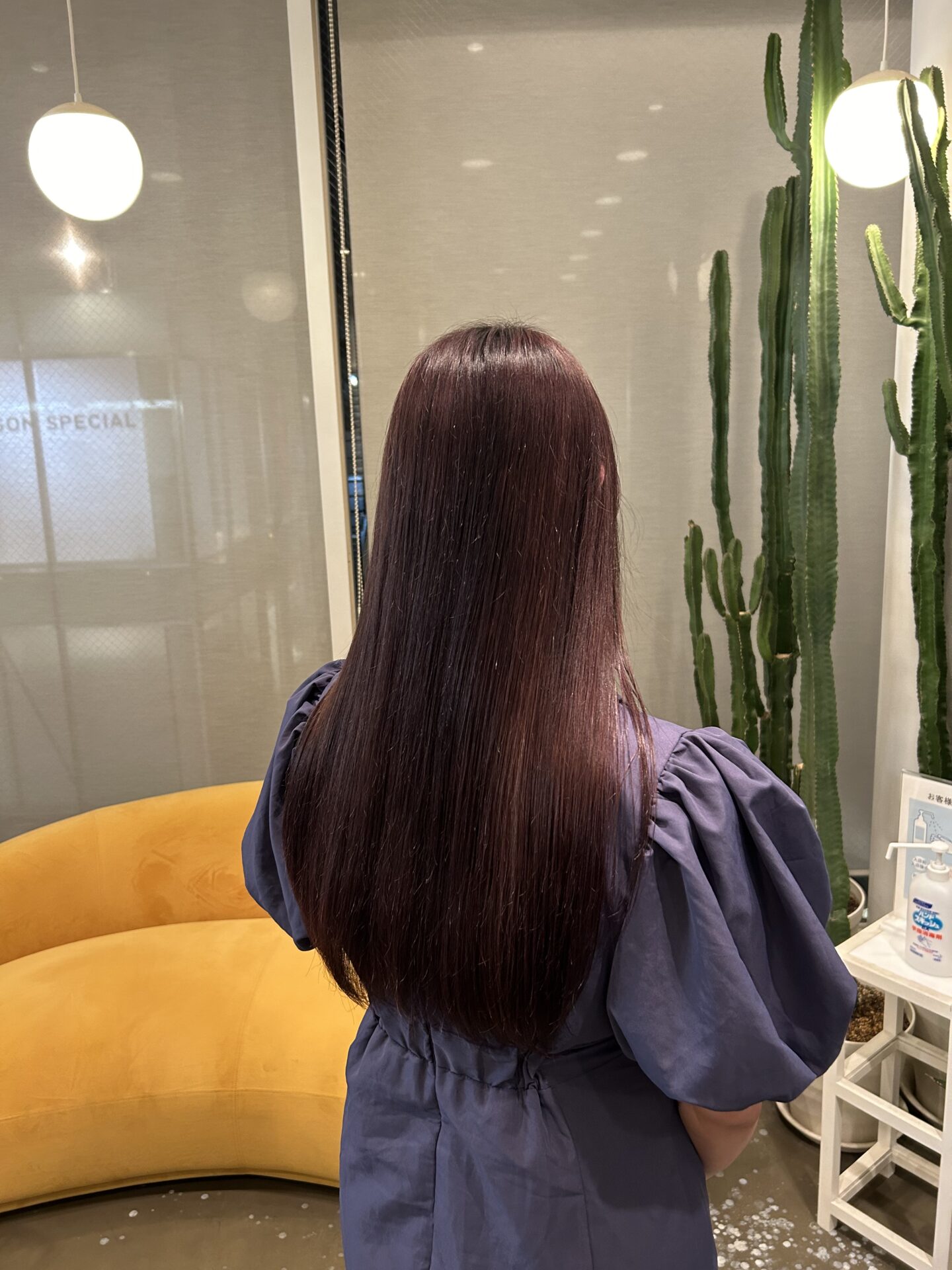 ココアカラー🤎