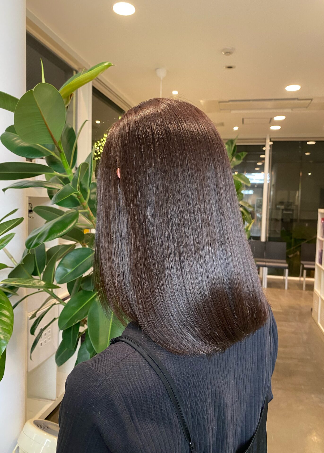 ダークブラウン🤎