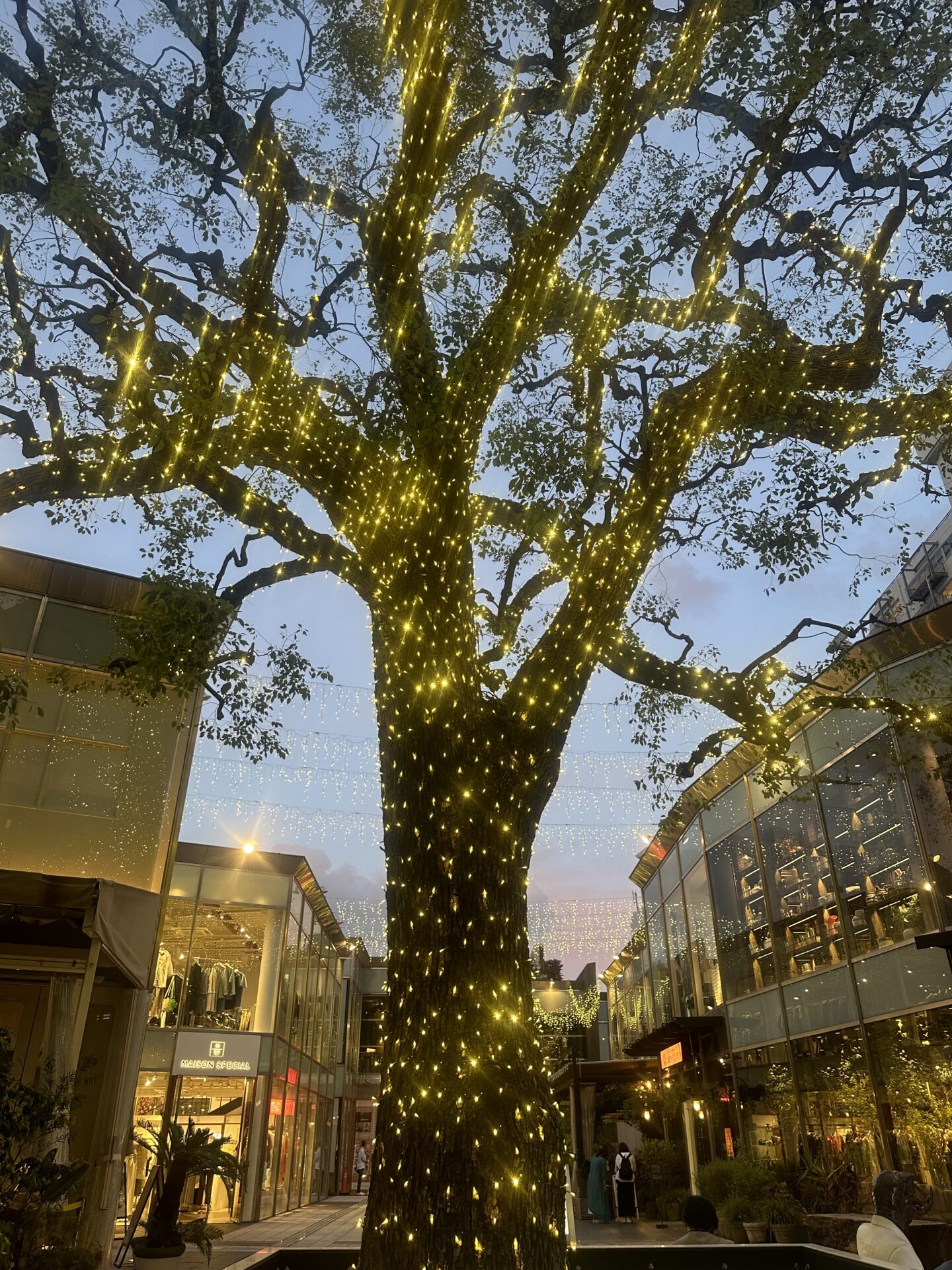 佐野行俊6月、7月月末スケジュールに注意