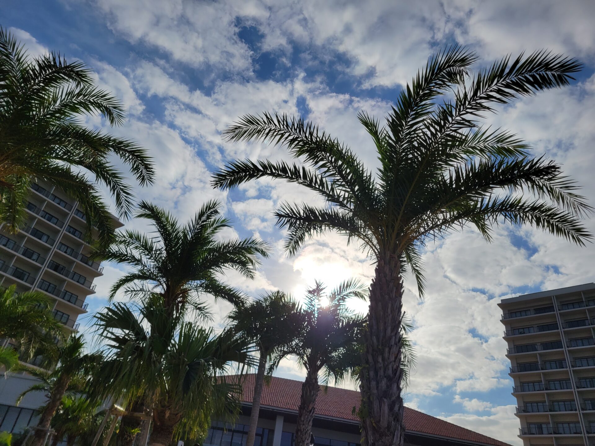 7月の定休日/スタイリスト赤坂勤務日に関して