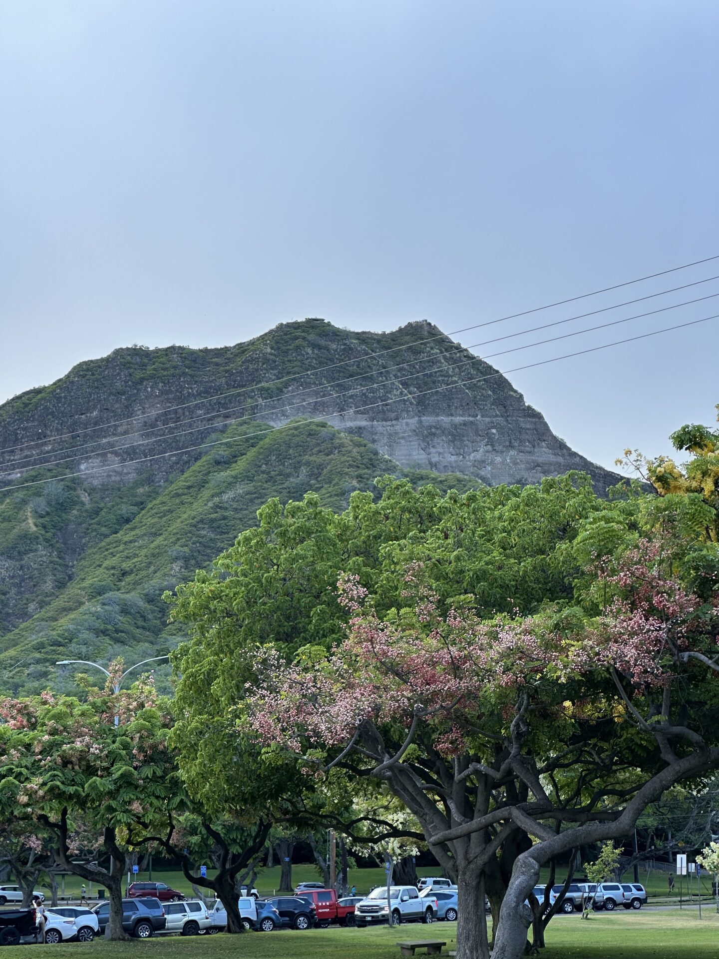 ミルボン研修に参加の為お休みいただいてます。