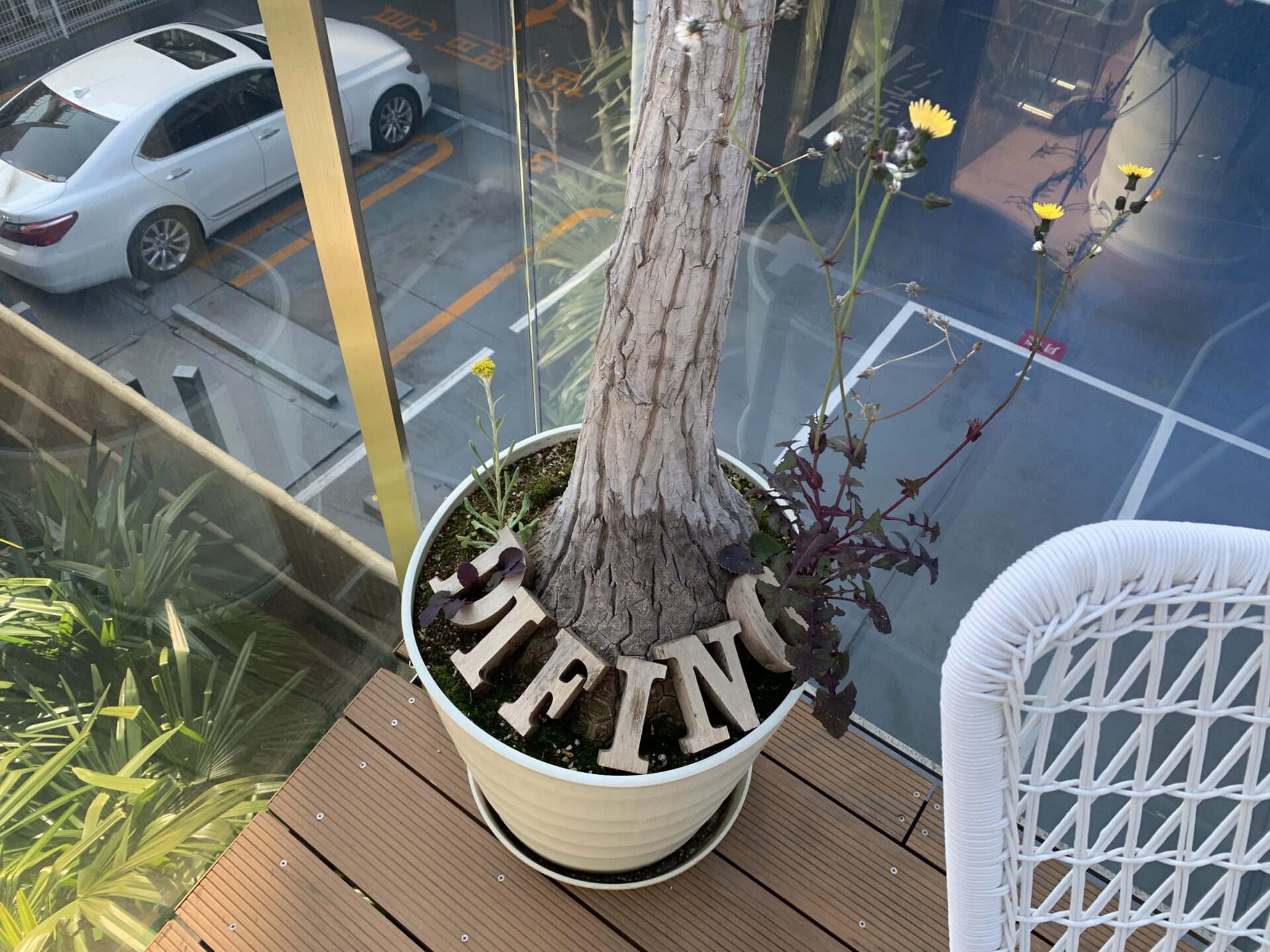 山岡2月スケジュール