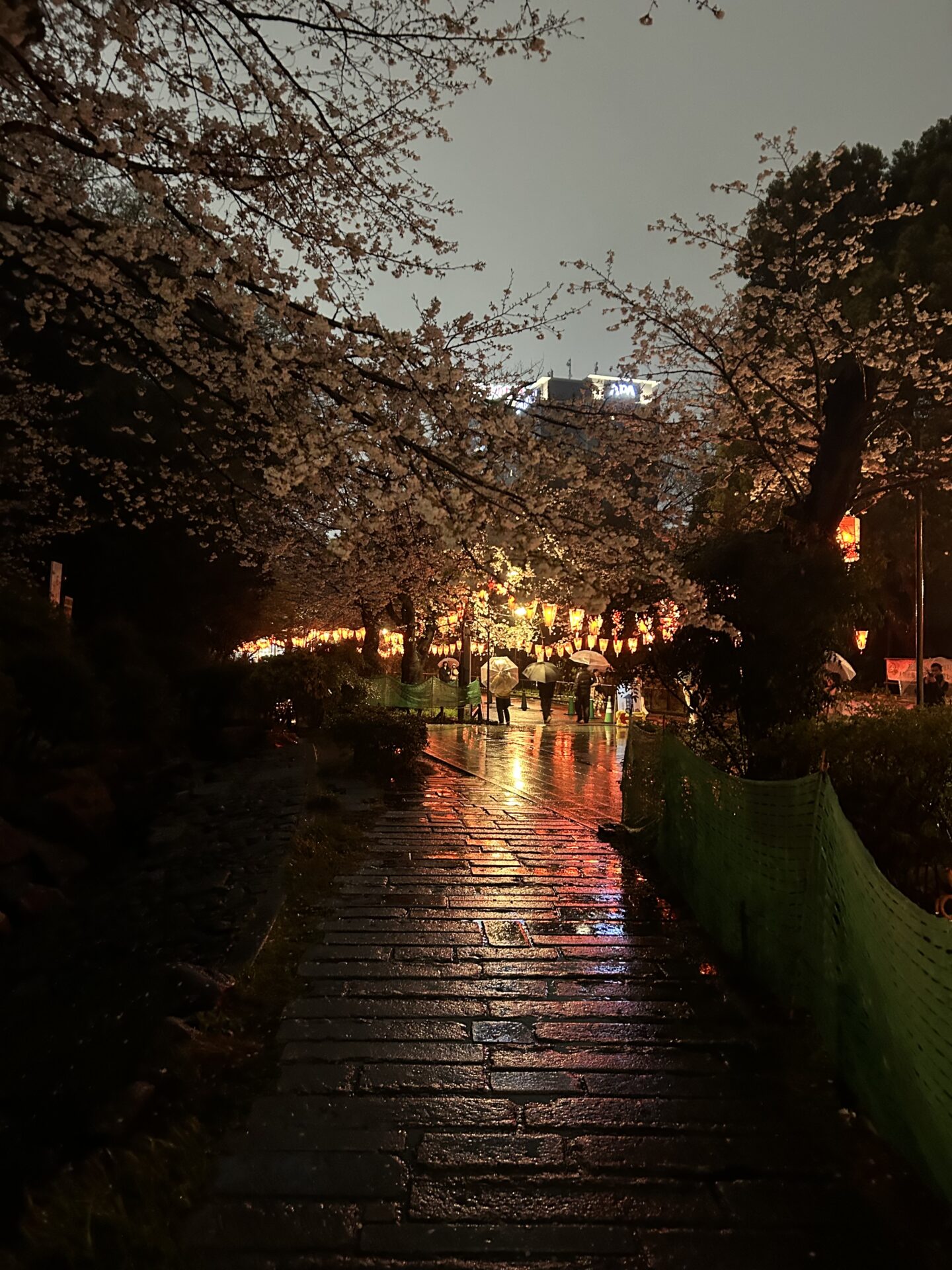 4月から先輩に‼️