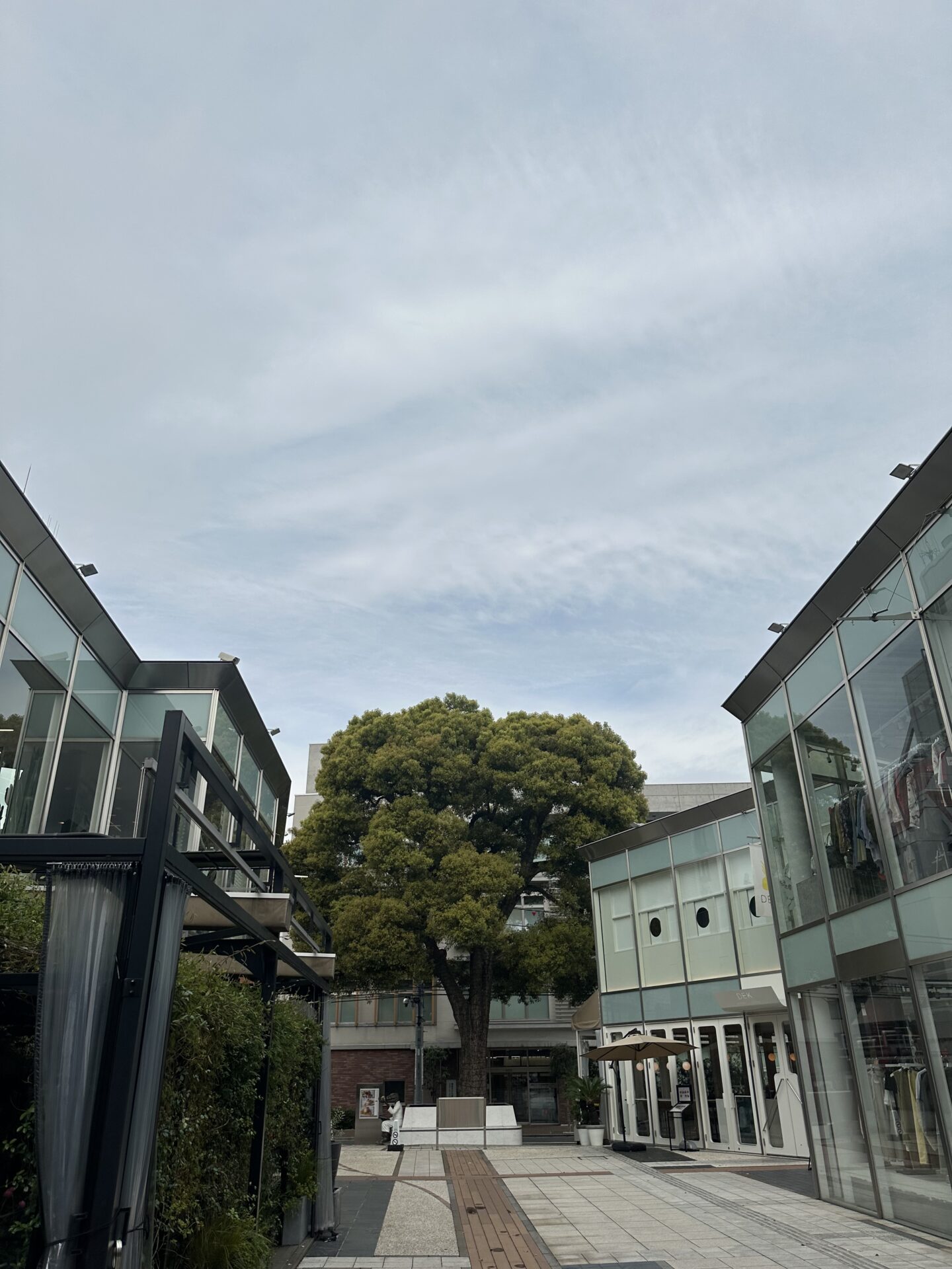 新年度24年目のスタート😃