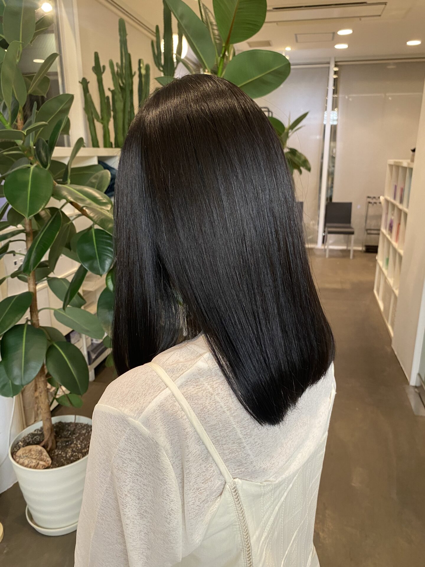 地毛風カラー🤍