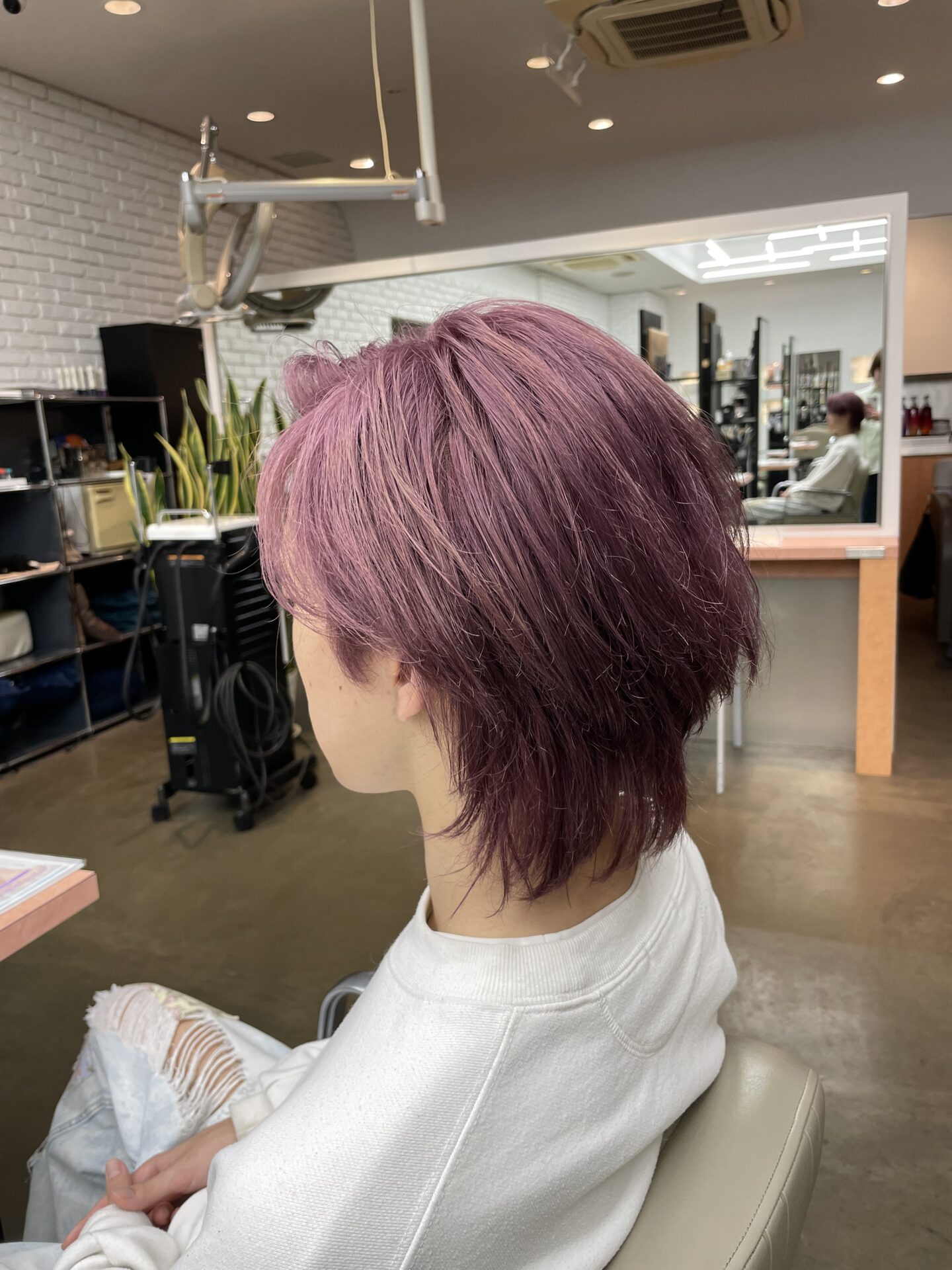 ラベンダーカラー