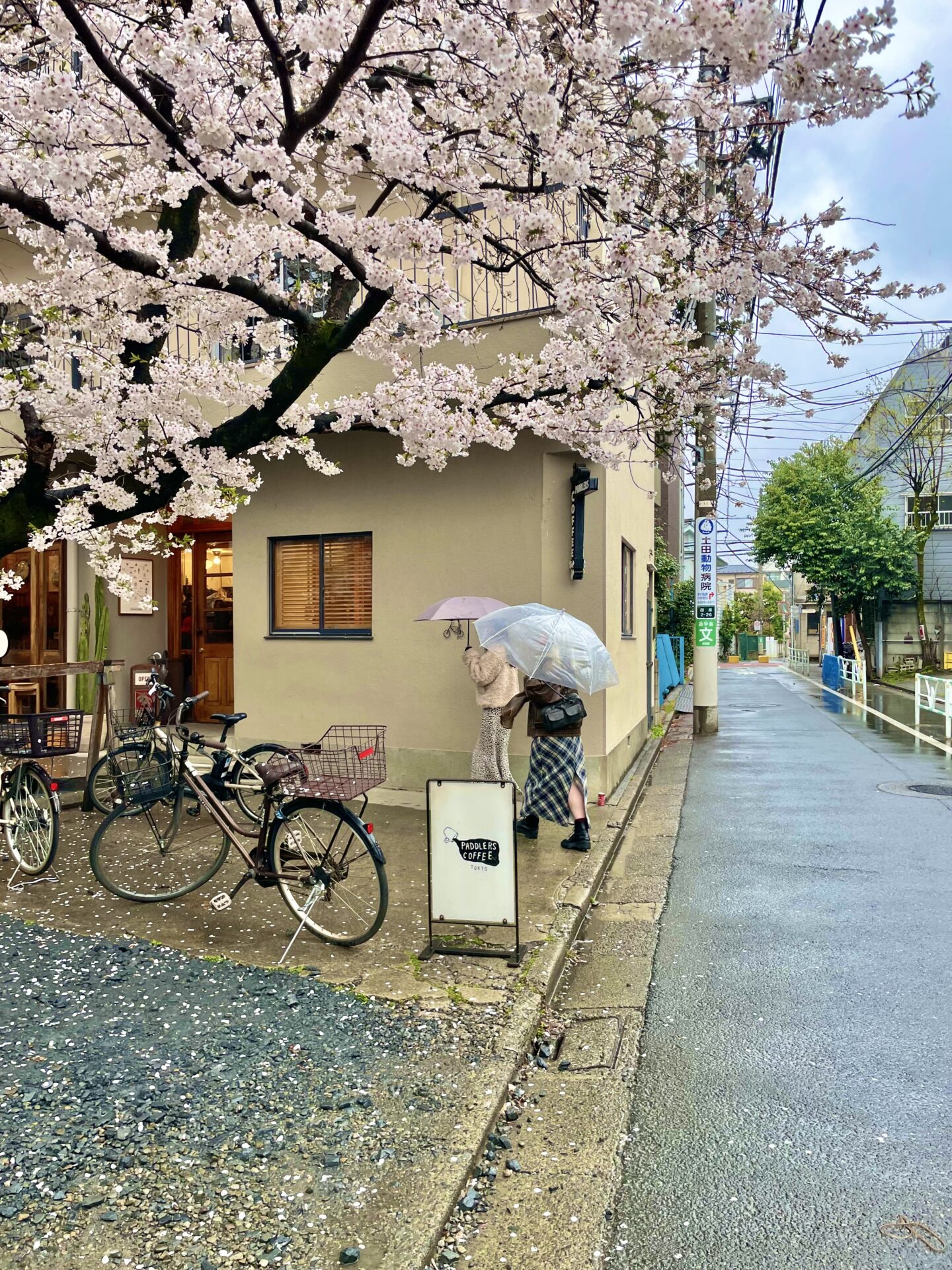 カフェでのんびり☕️