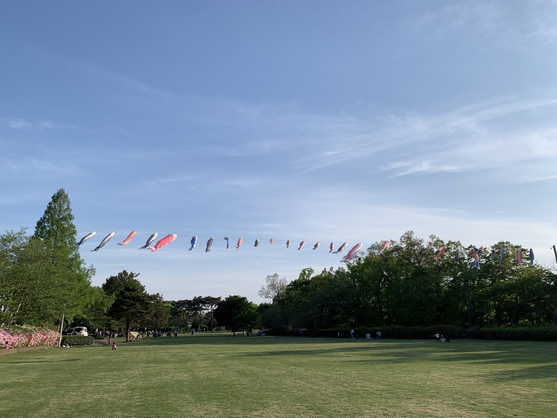 ショートヘアー♡