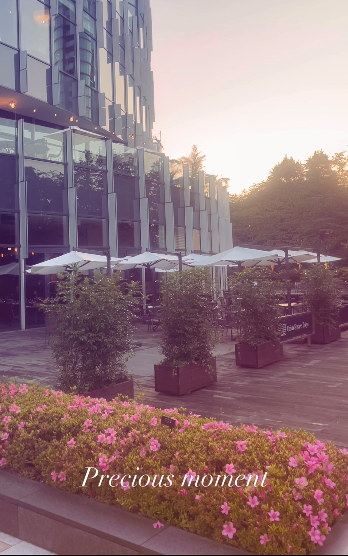 5分で整う「頭浸浴」って？