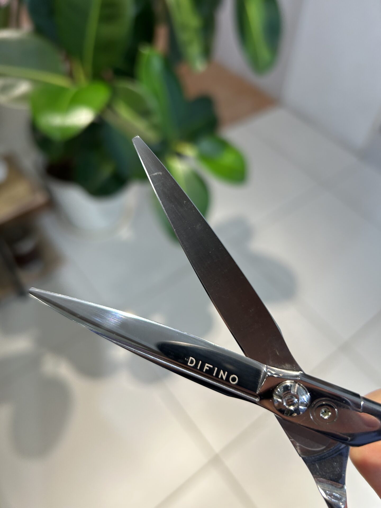 カットレッスン開始！