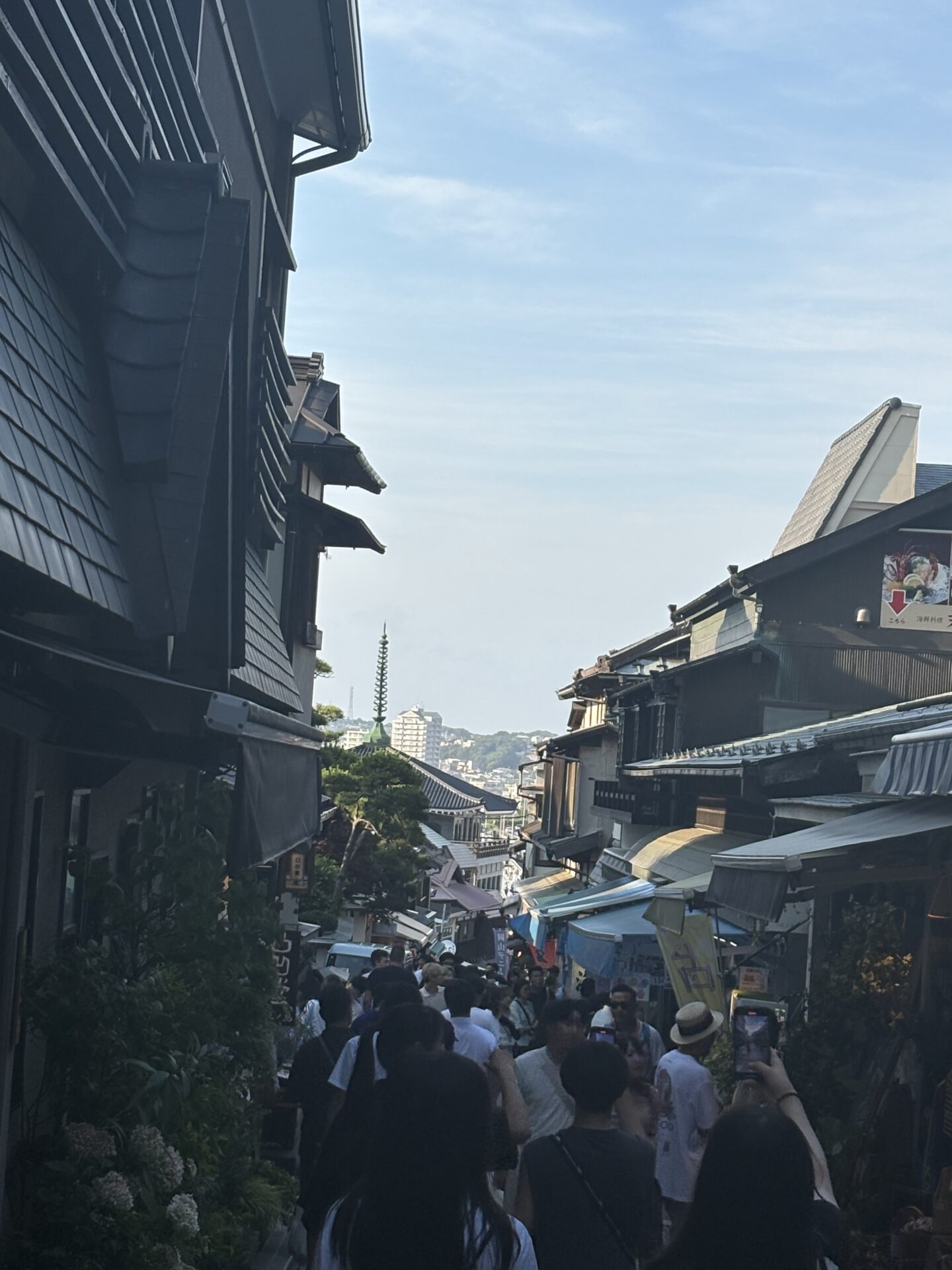 夏休みいただきました