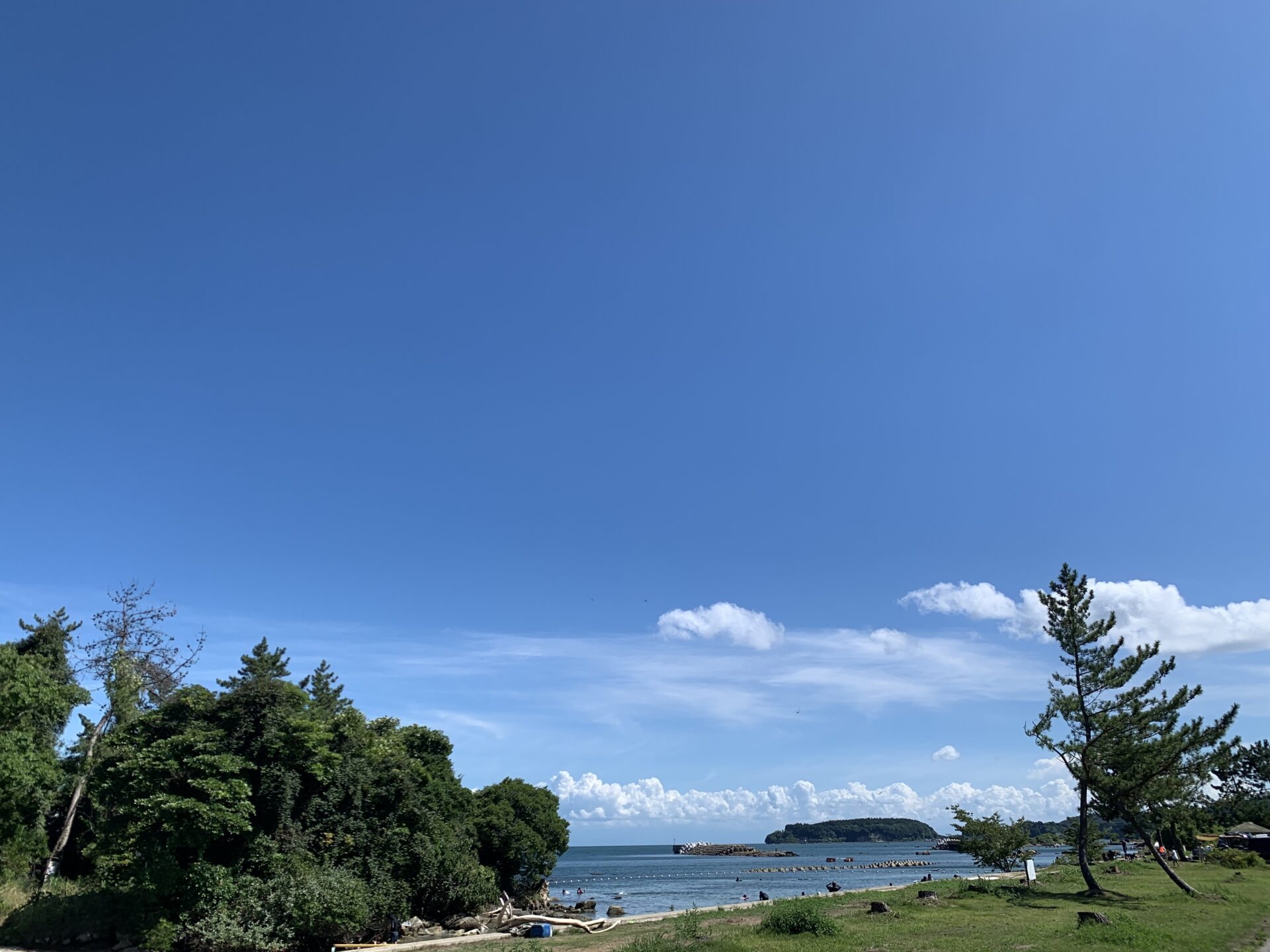 夏休みありがとうございました。